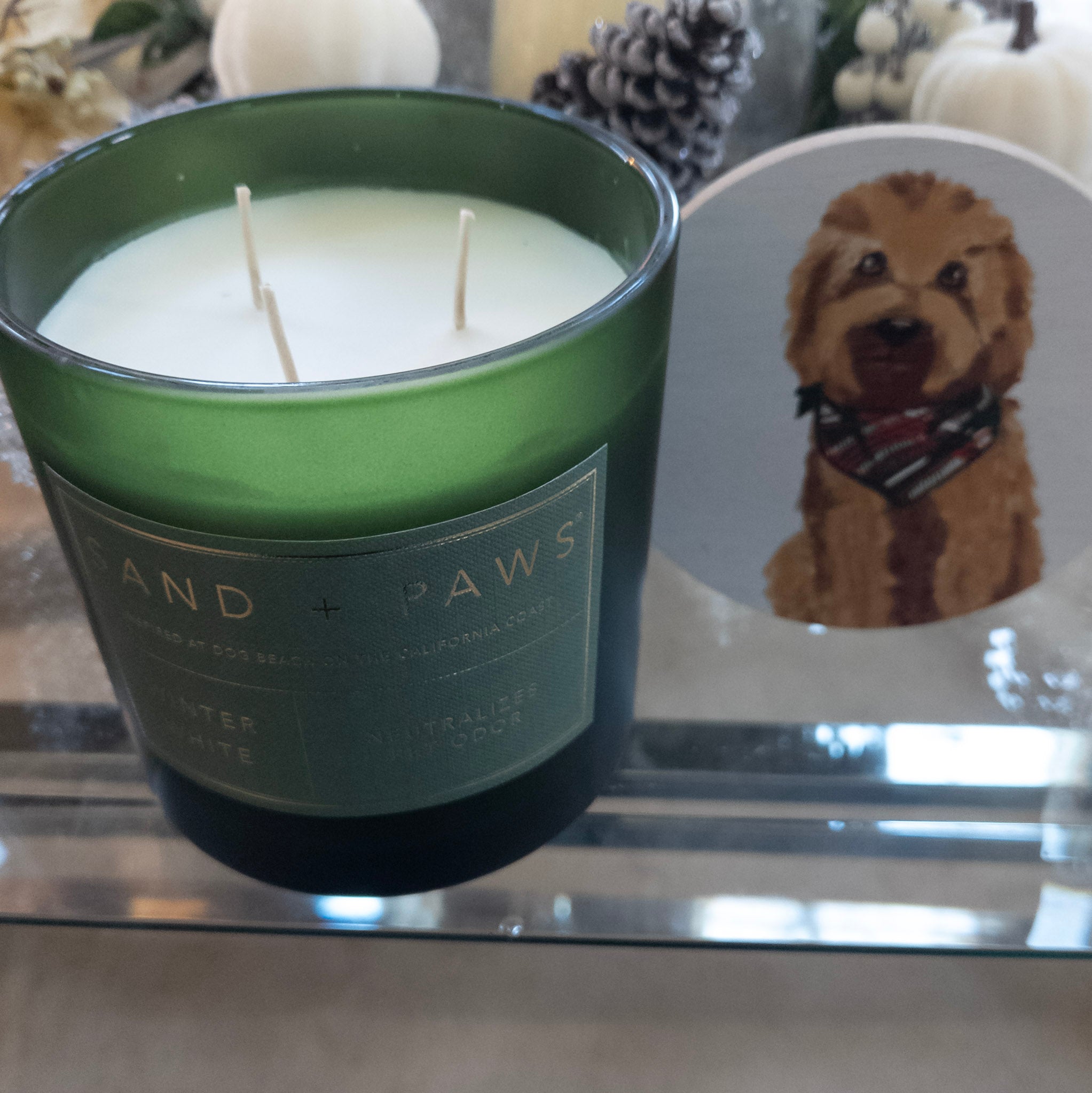 SAND+PAWS Winter White scented candle