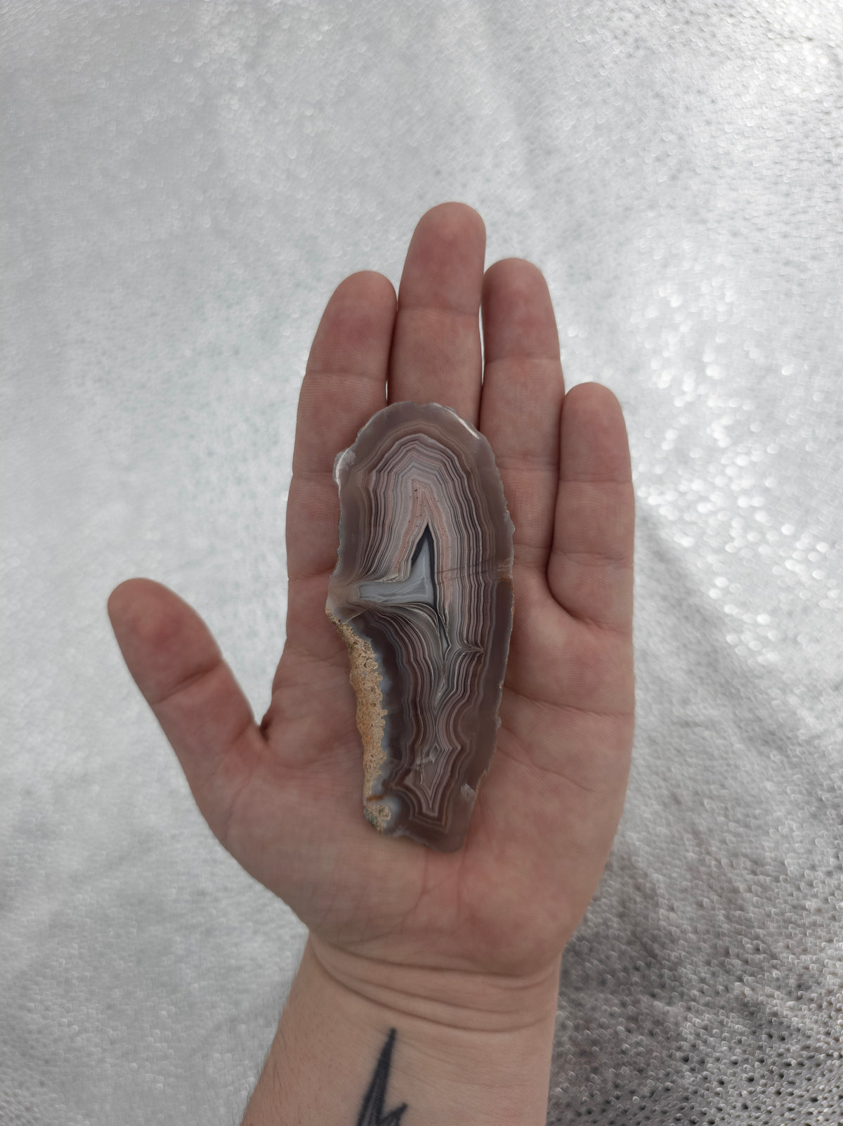 Banded Fortification Agate Slice