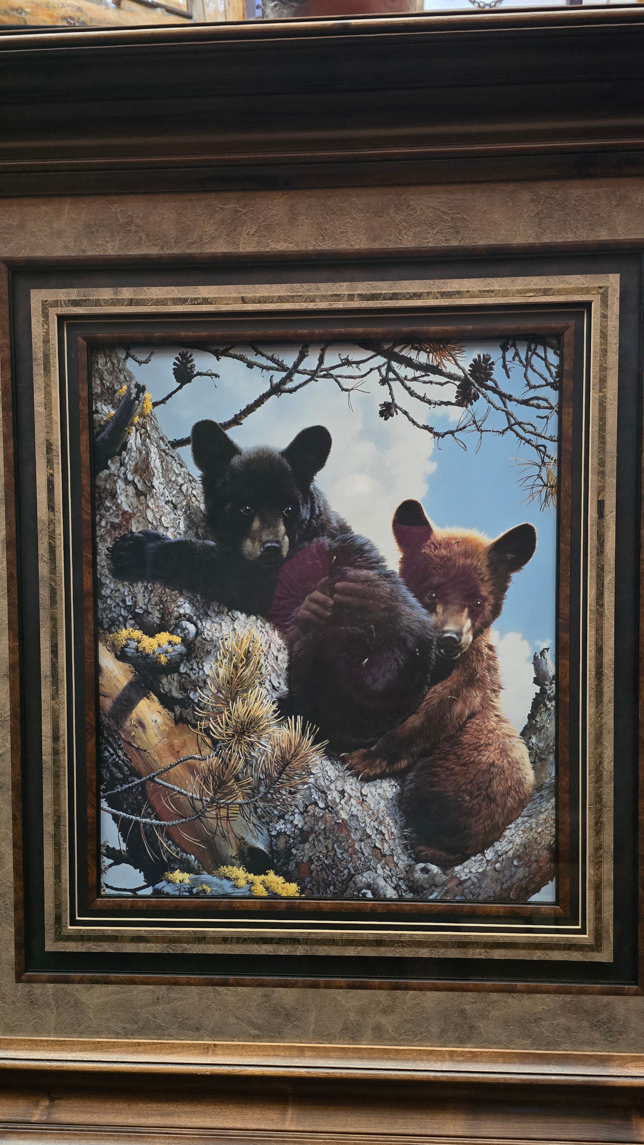 Carl Brenders “High Adventure” Framed Black Bear Cubs Print – Large Wildlife Wall Art 43x48