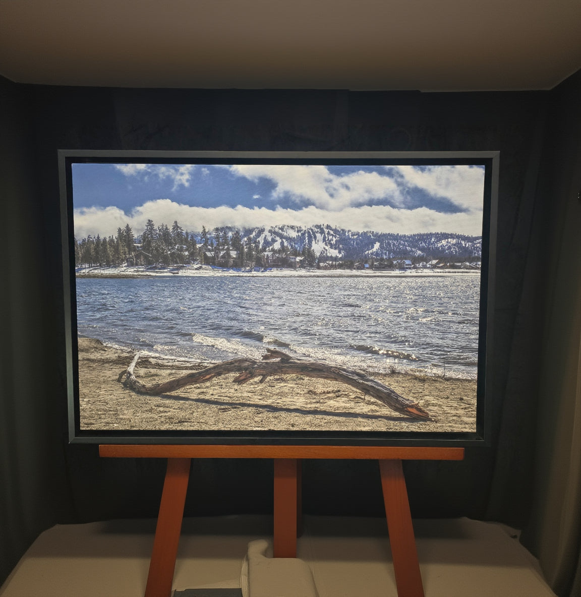 Framed Photograph "Winter Driftwood" taken by Janice Etters of Big Bear Lake 2017