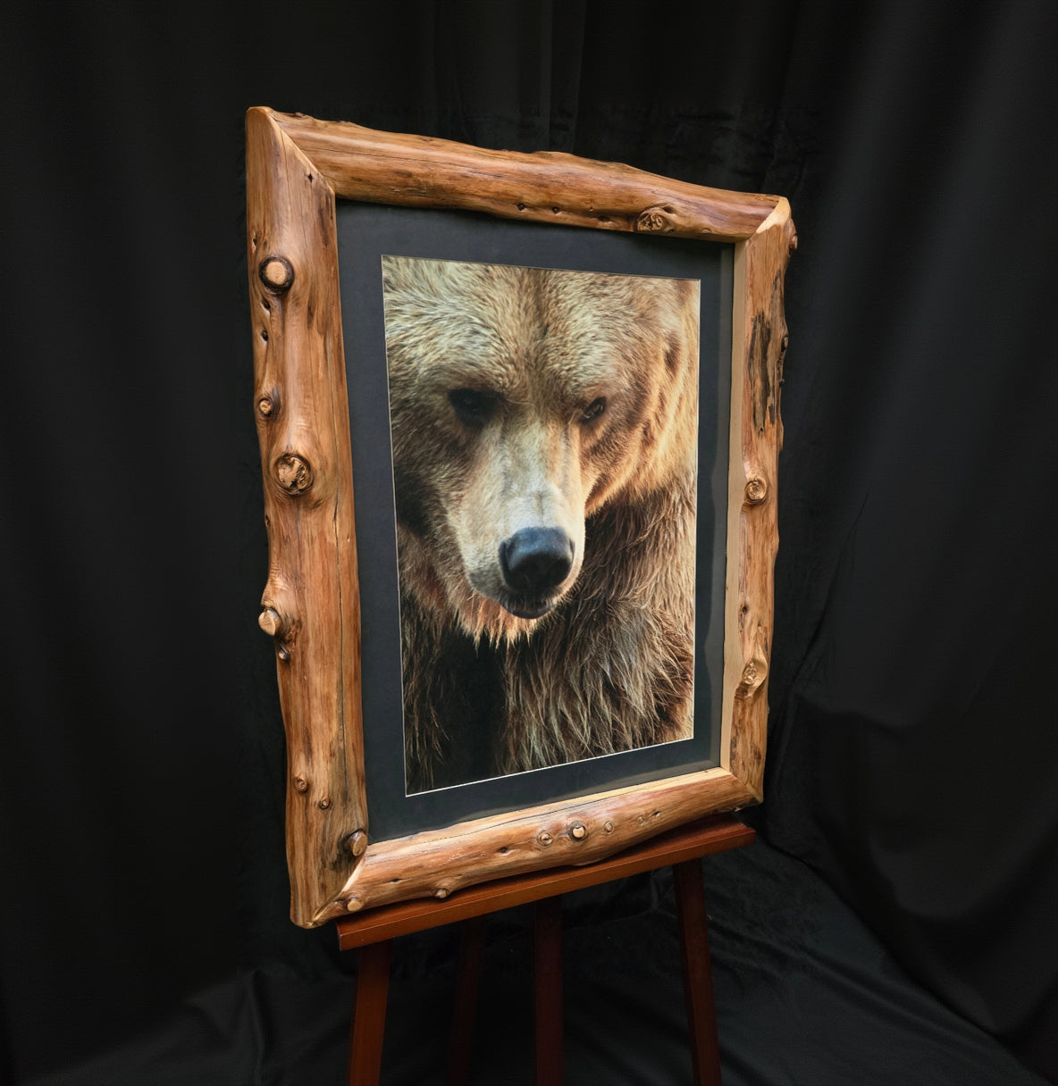 Original Alaskan Grizzly Bear Photo with Custom Log Frame