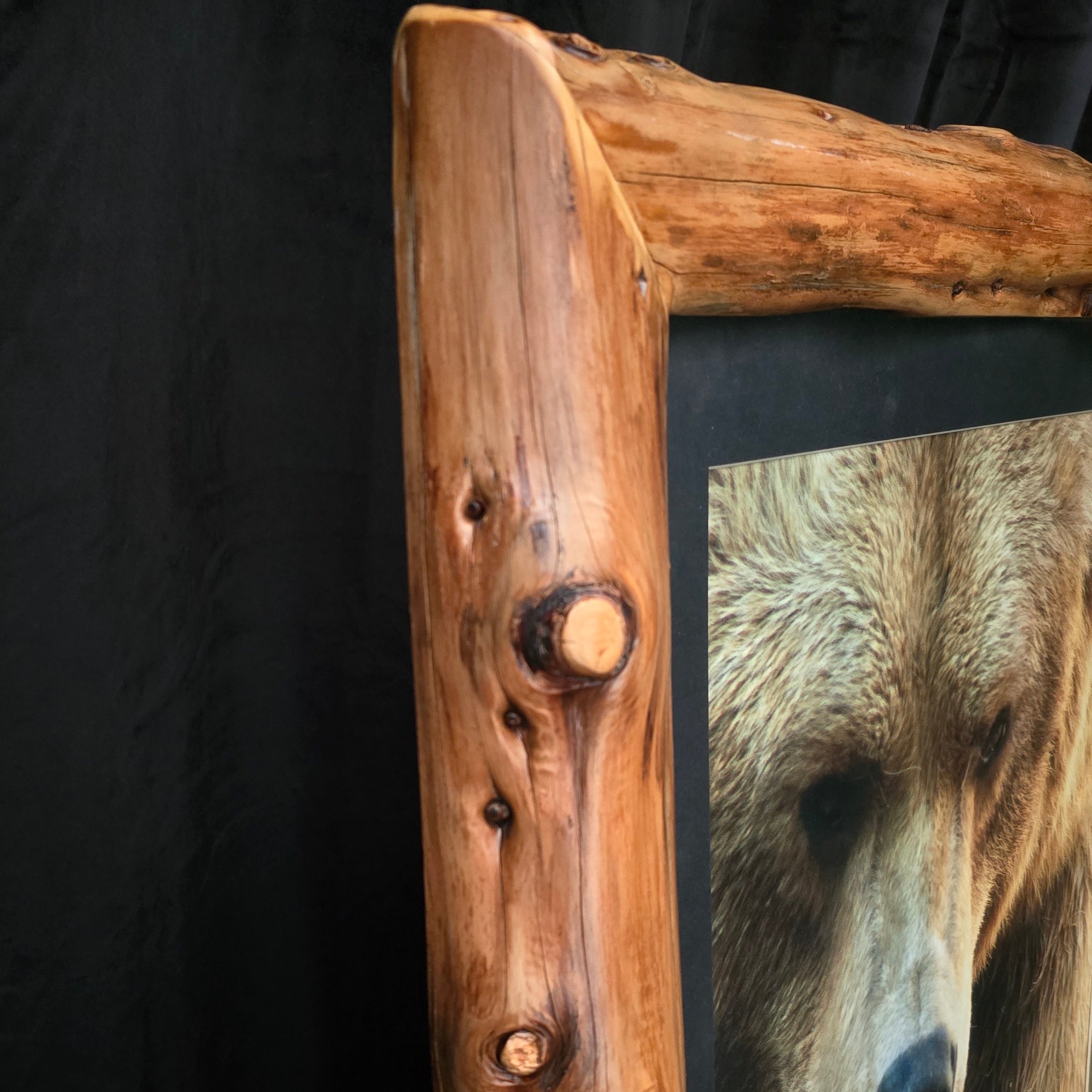 Original Alaskan Grizzly Bear Photo with Custom Log Frame