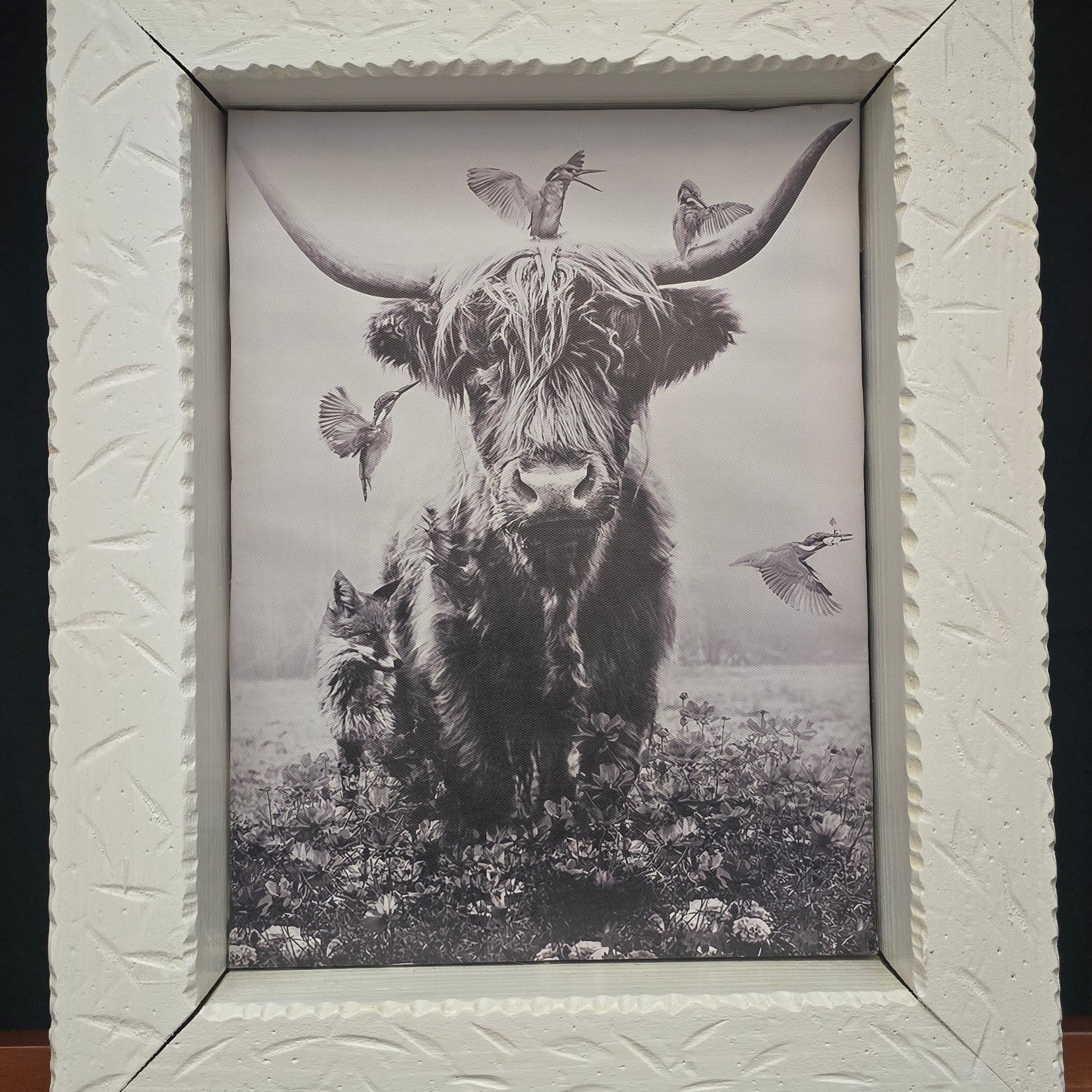 Black and White Highland Cow with Hummingbirds