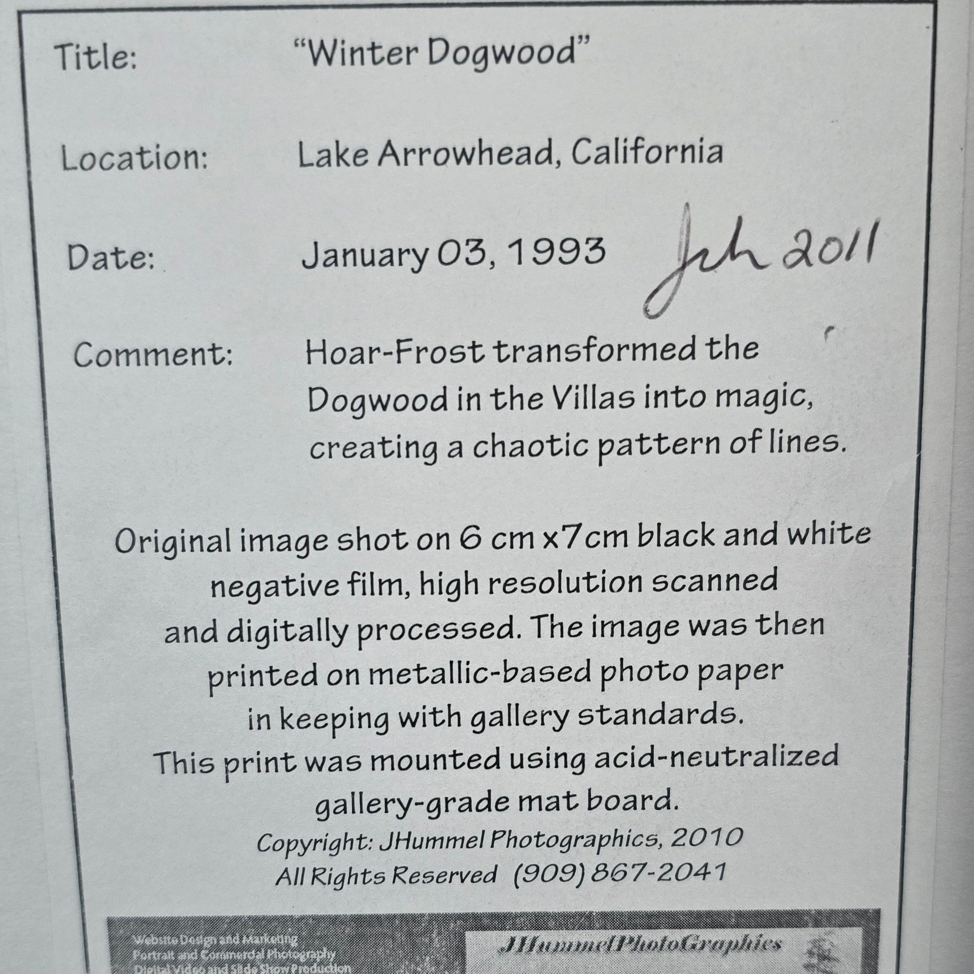 Signed JHummel Photographics “Winter Dogwood” Framed Black & White Photograph Lake Arrowhead California