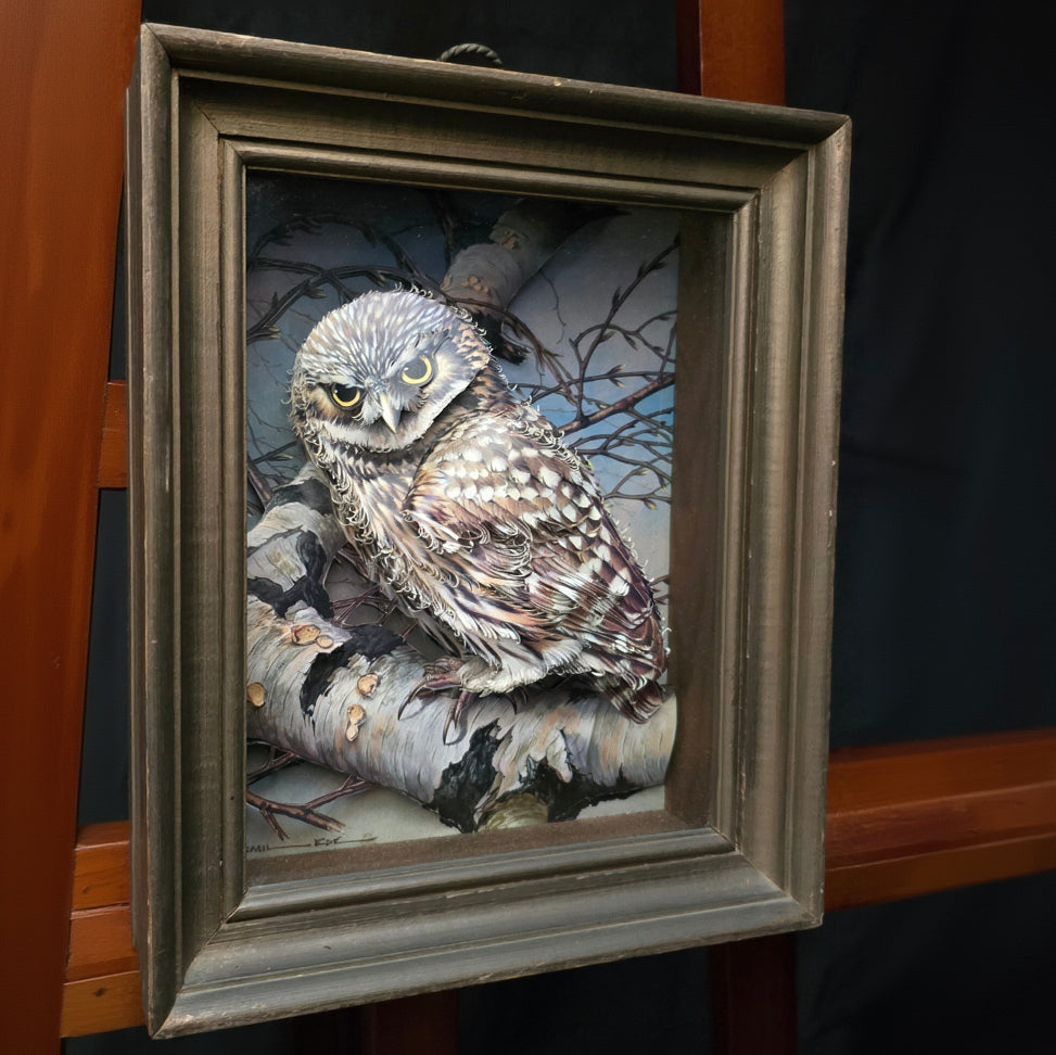 Basil Ede "The Little Owl" Paper Cut 3-Dimensional Print Decoupage Shadow Box