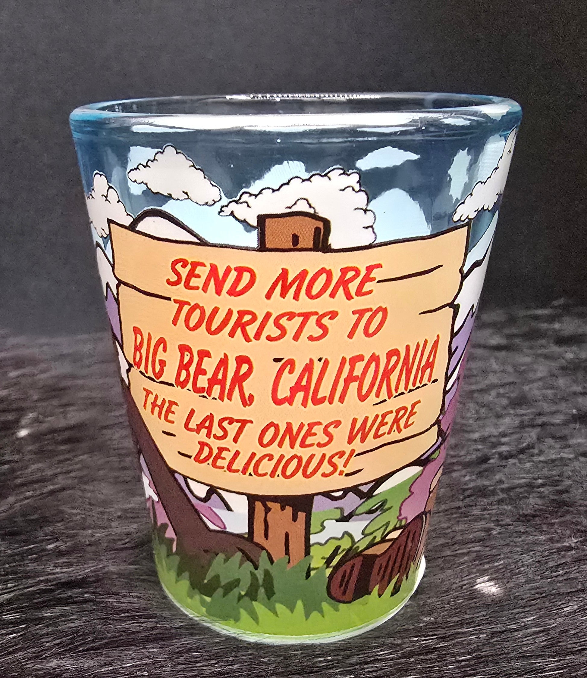 Big Bear California Funny Bear Shot Glass “Send More Tourists” Novelty Souvenir