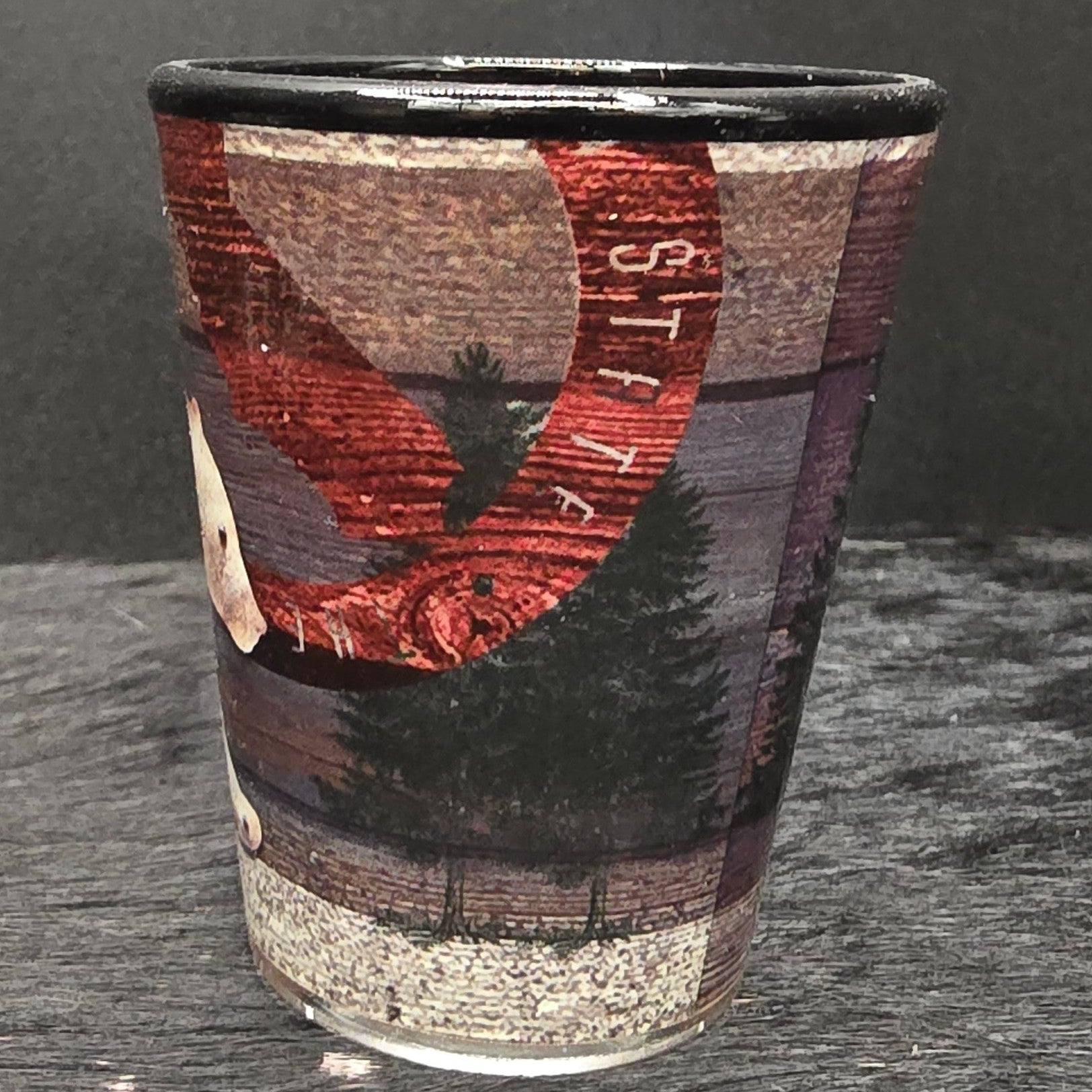 Big Bear California "STAY WILD" Shot Glass