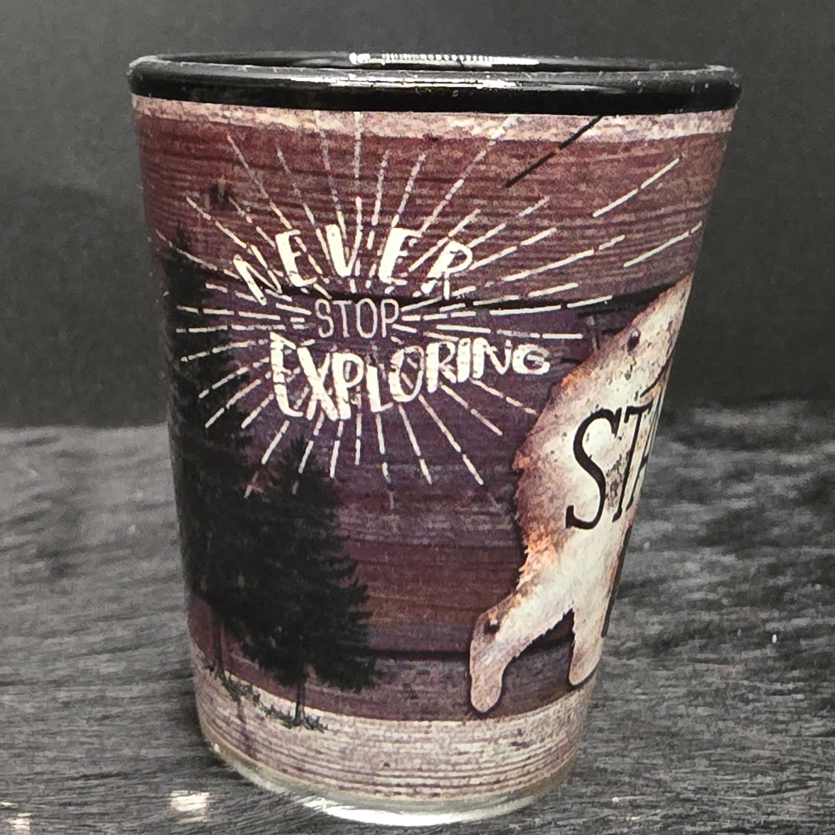 Big Bear California "STAY WILD" Shot Glass