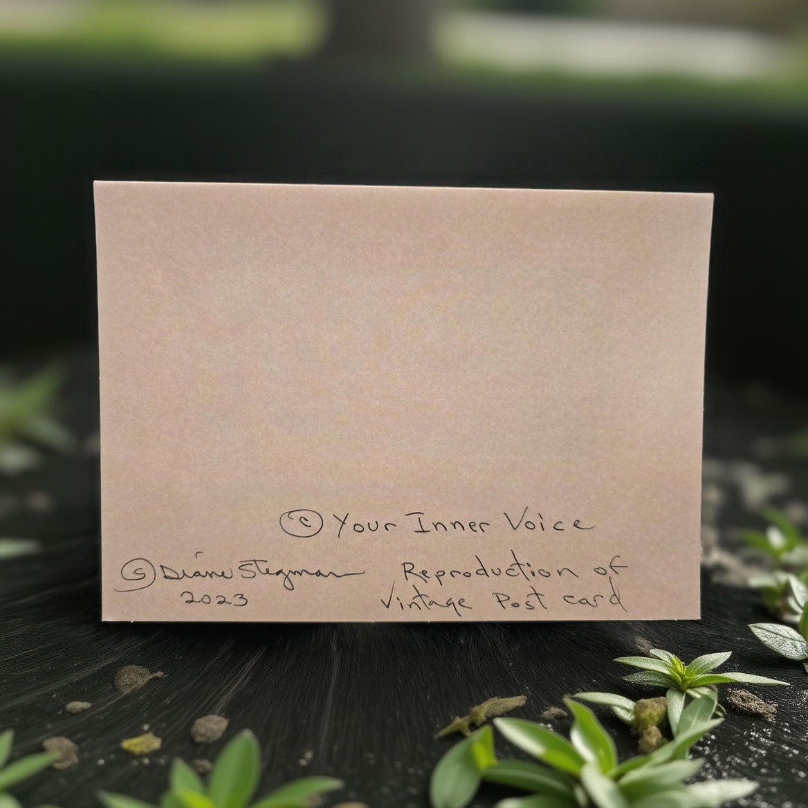 Beautifully Hand Crafted Custom Created Greeting Card Series by Diane Stegman "Yosemite National Park, California"