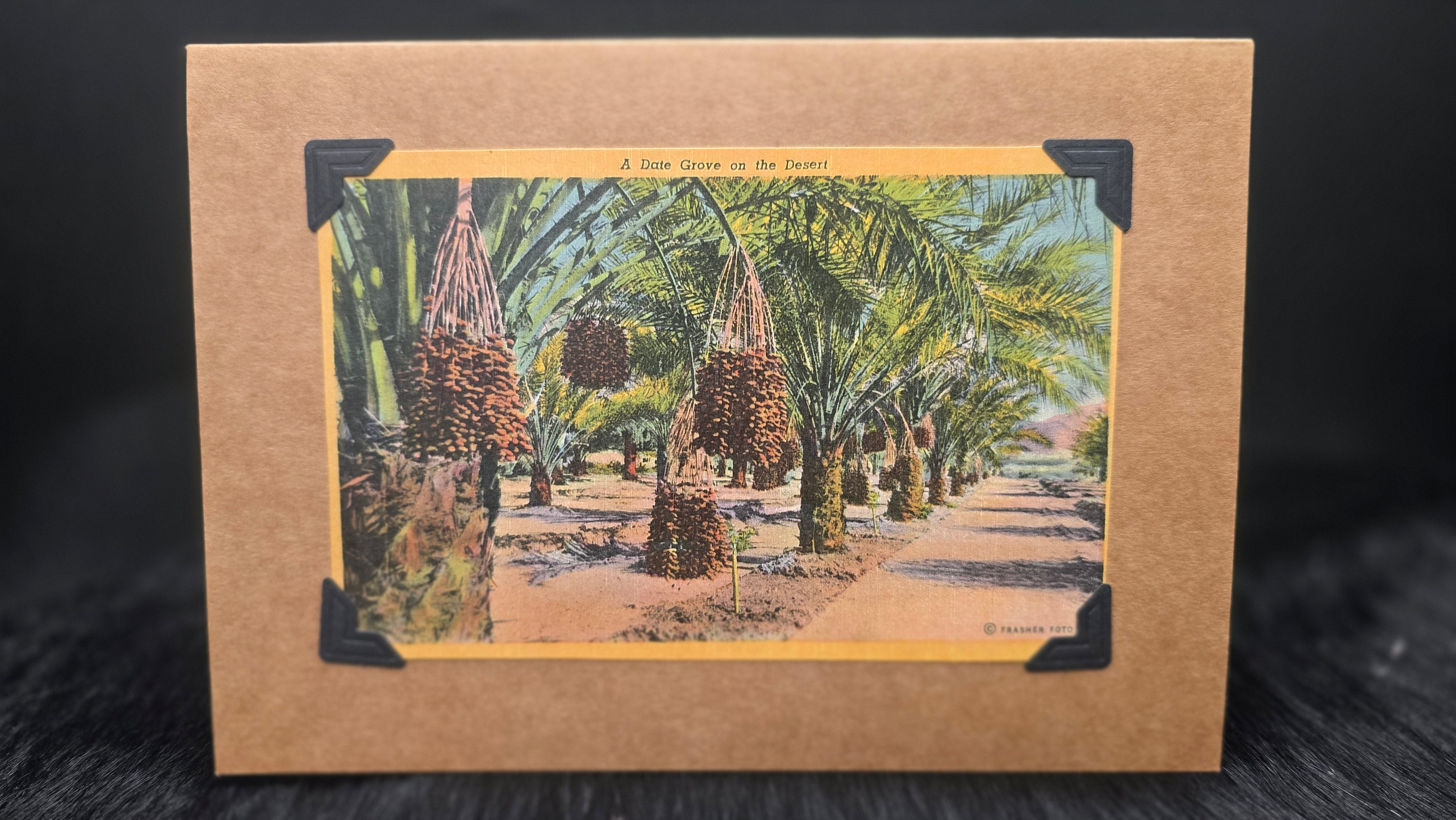 Beautifully Hand Crafted Custom Created Greeting Card Series by Diane Stegman "A Date Grove in the Desert "