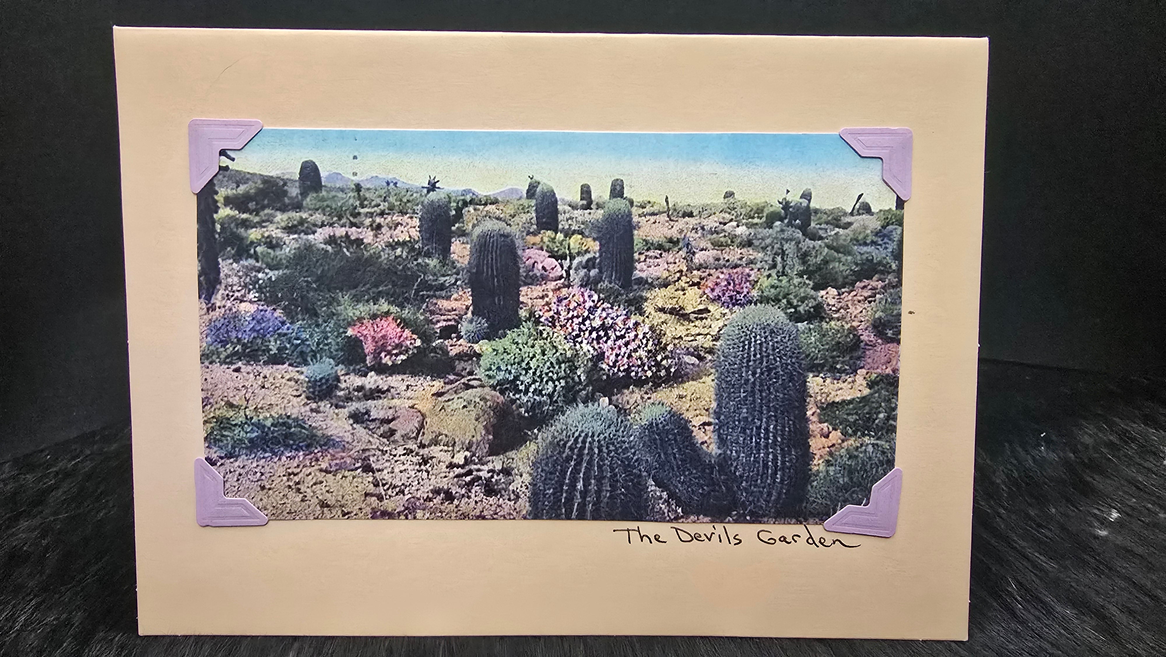 Beautifully Hand Crafted Custom Created Greeting Card Series by Diane Stegman "The Devil's Garden"