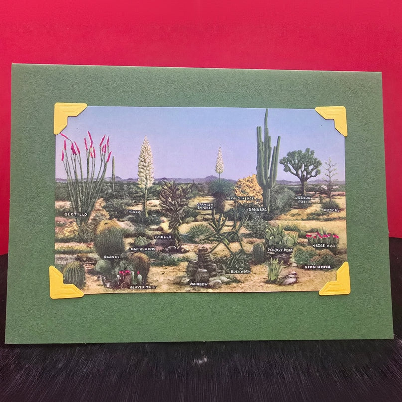 Beautifully Hand Crafted Custom Created Greeting Card Series by Diane Stegman "Various Cactus Names"