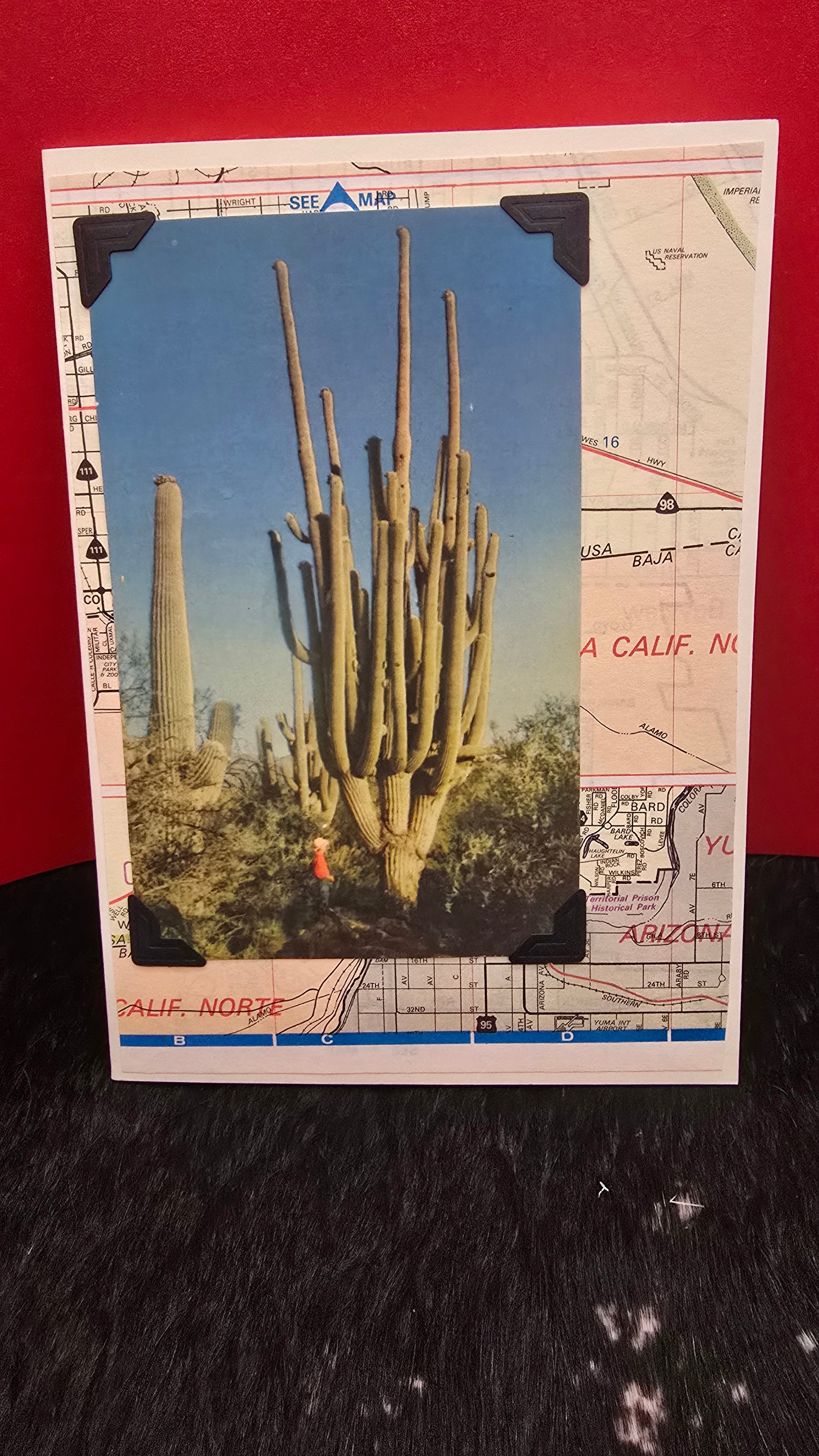 Beautifully Hand Crafted Custom Created Greeting Card Series by Diane Stegman "Giant Saguaro Cactus"