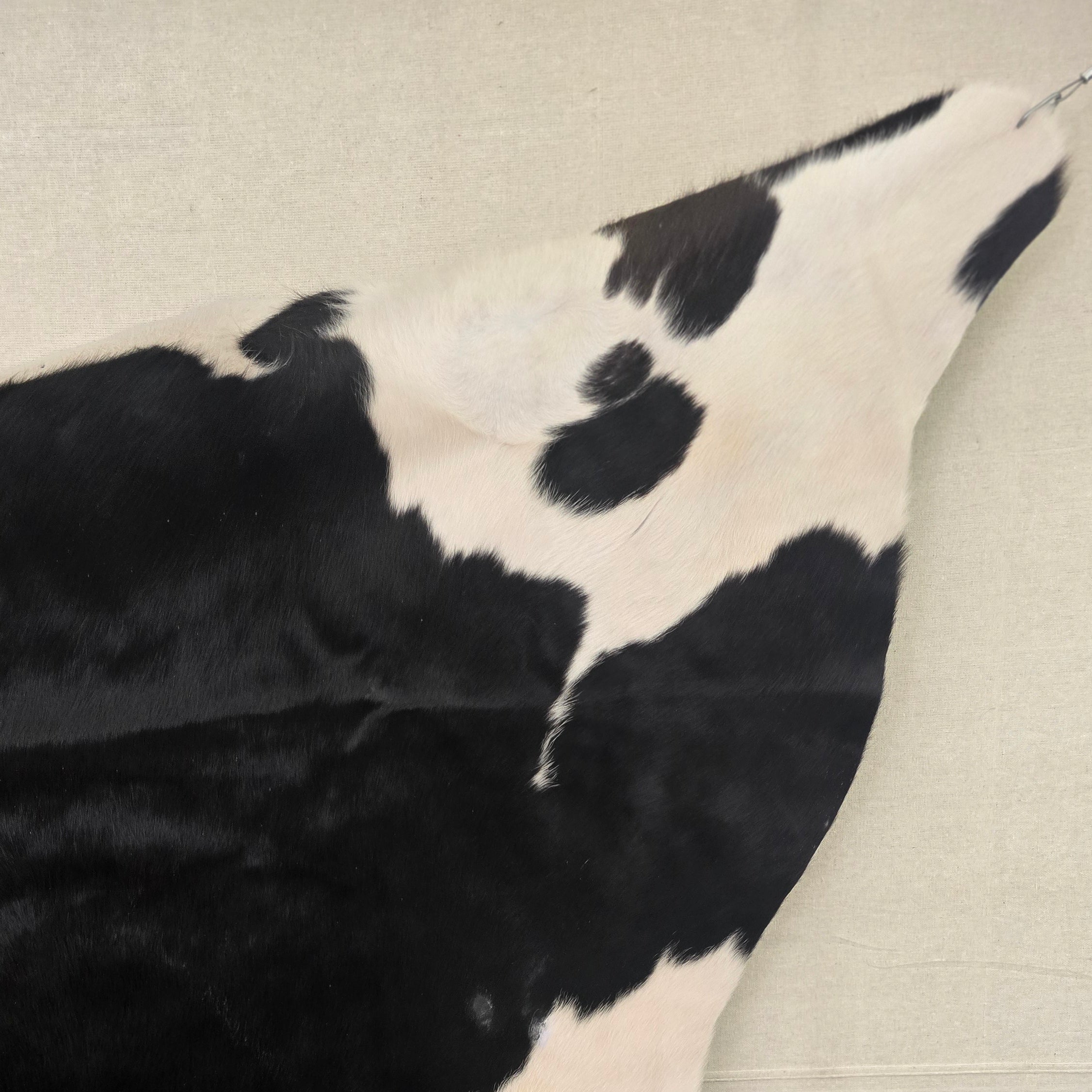 Unique Black and White Cowhide Handcrafted in Brazil