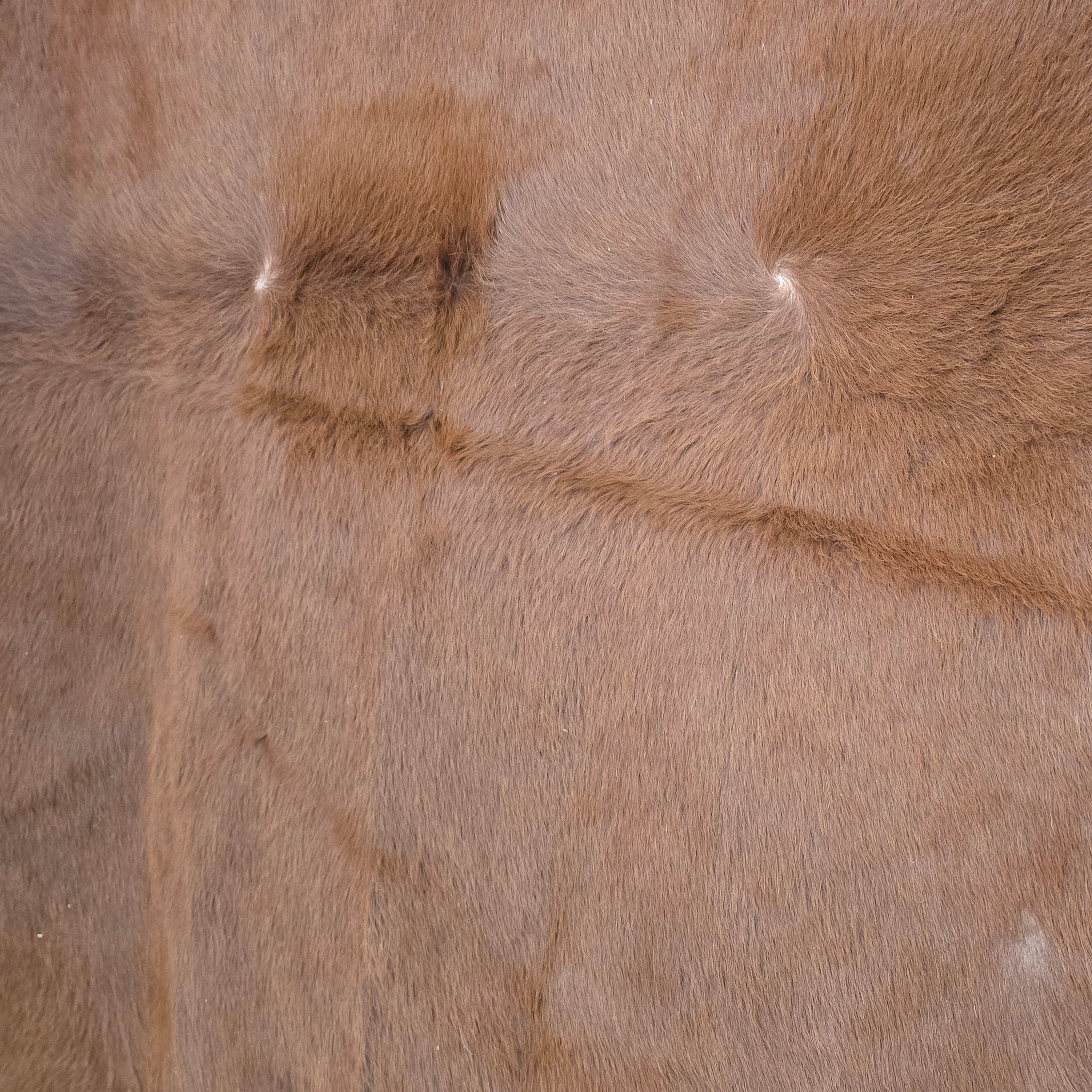 Reliable Brown Cowhide Handmade in Brazil