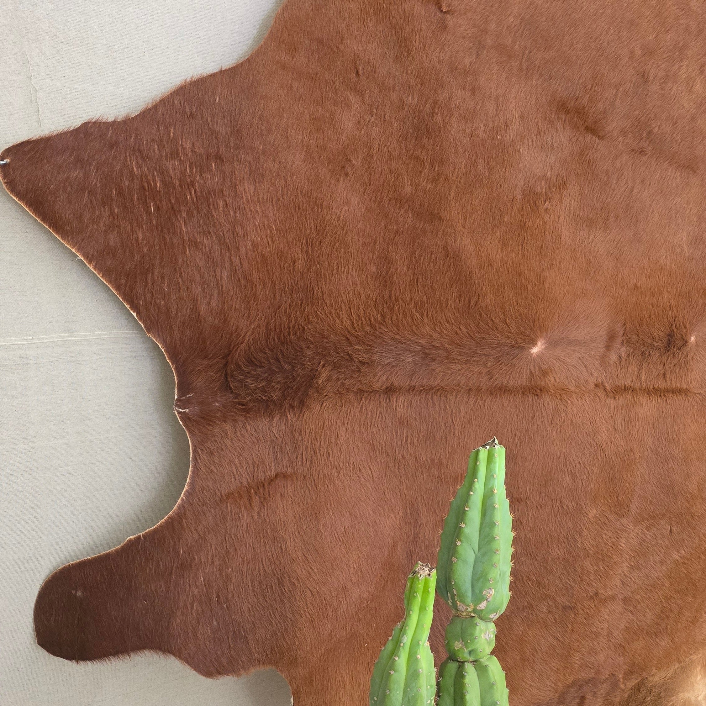 Reliable Brown Cowhide Handmade in Brazil