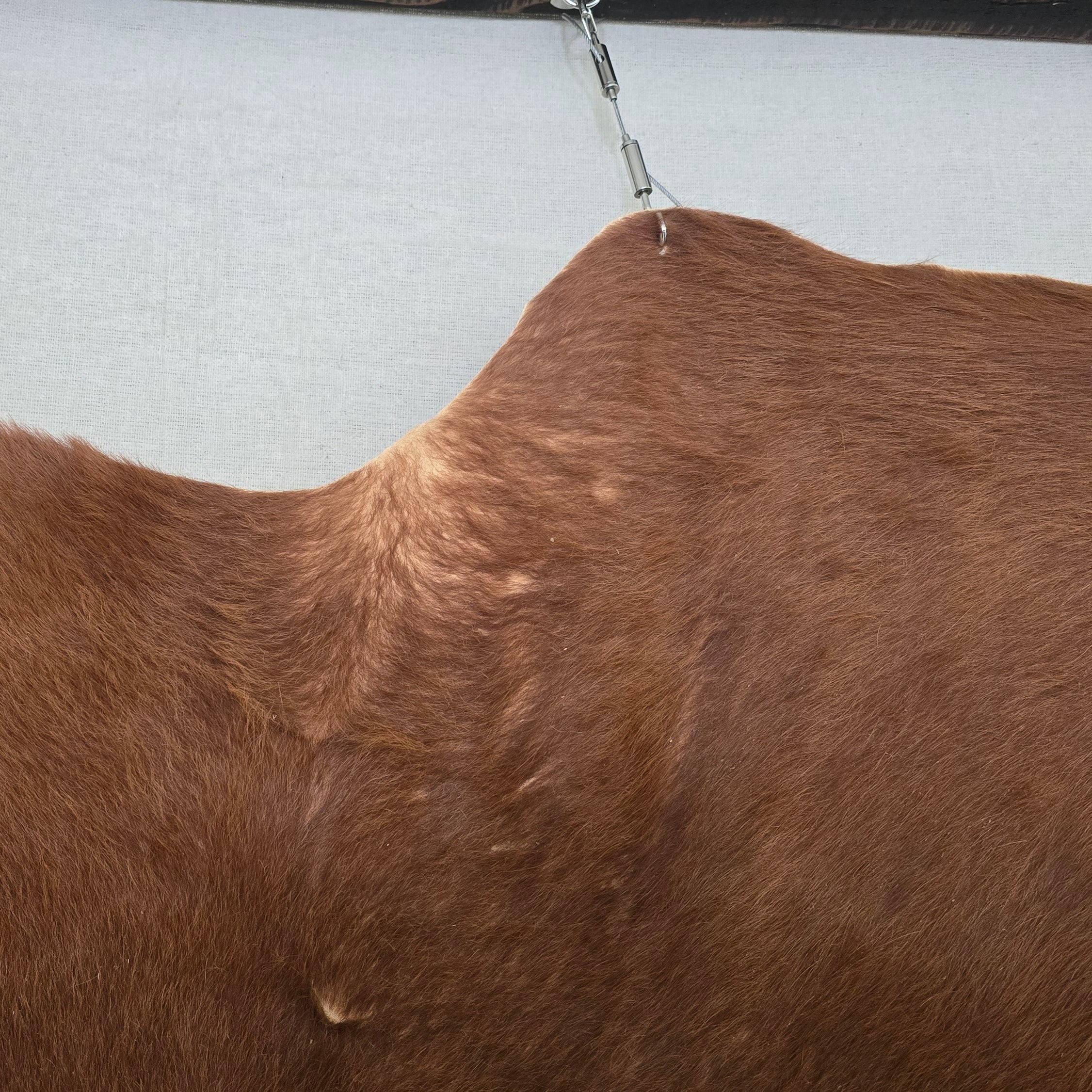 Reliable Brown Cowhide Handmade in Brazil