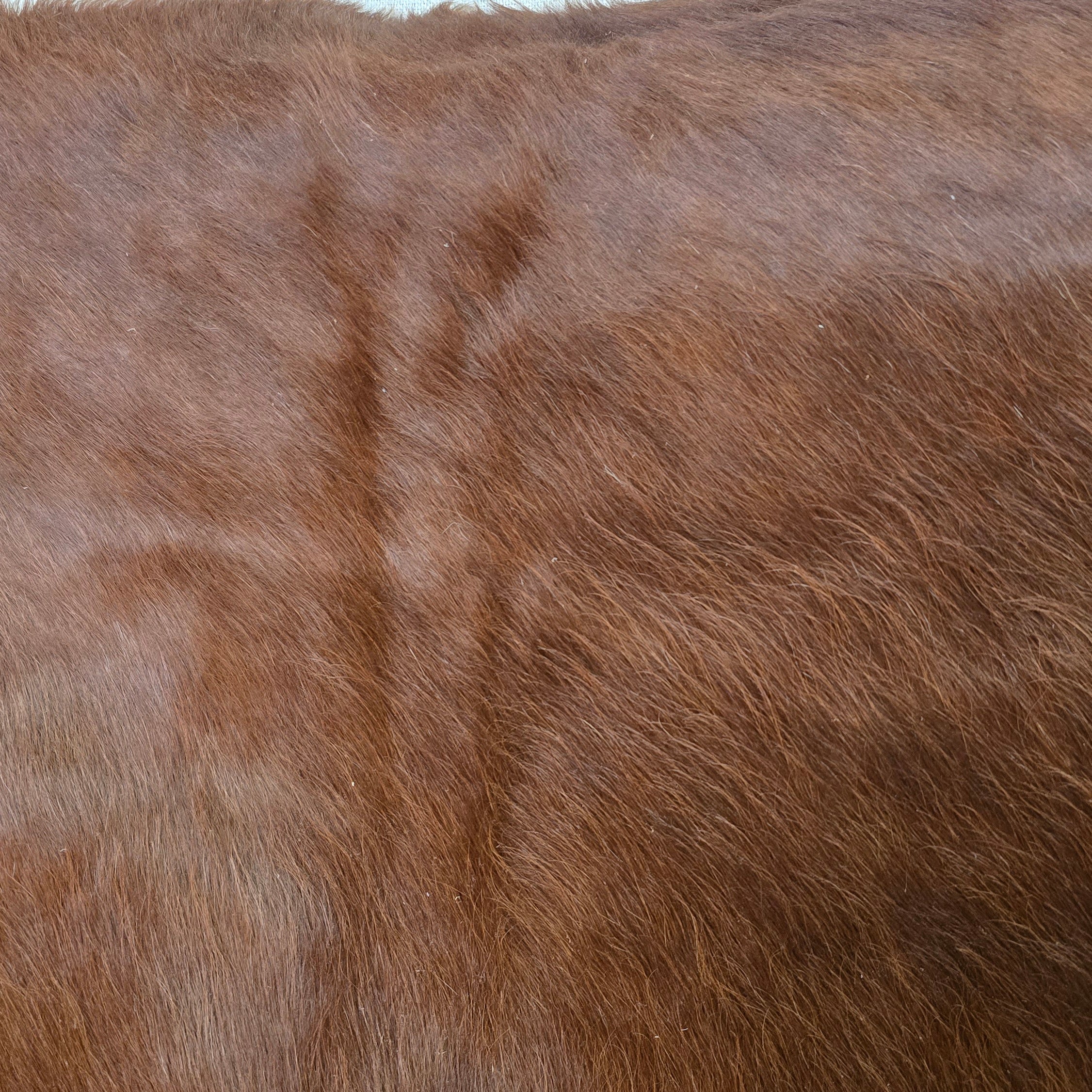 Sophisticated Rustic Brown Cowhide Handcrafted in Argentina