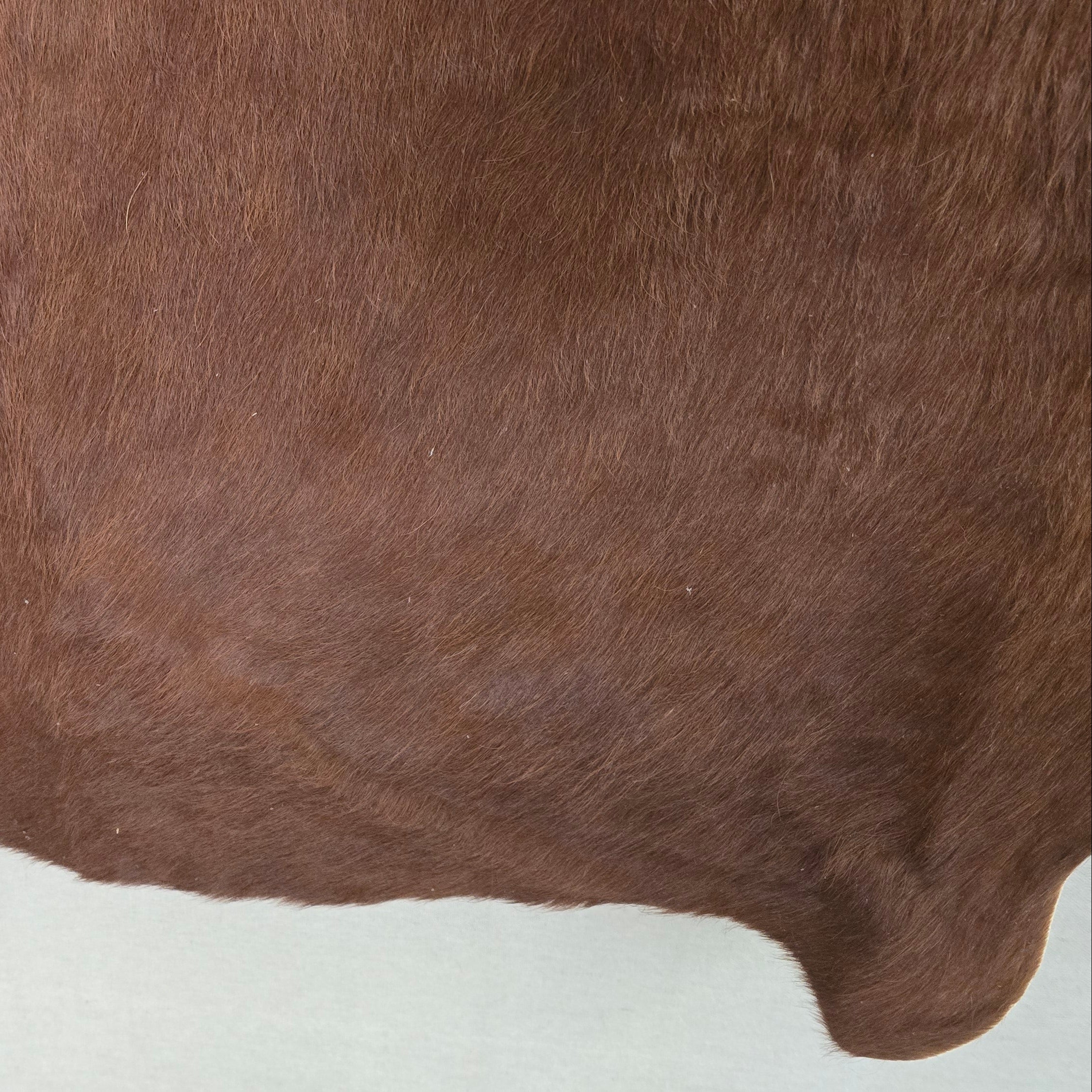 Sophisticated Rustic Brown Cowhide Handcrafted in Argentina