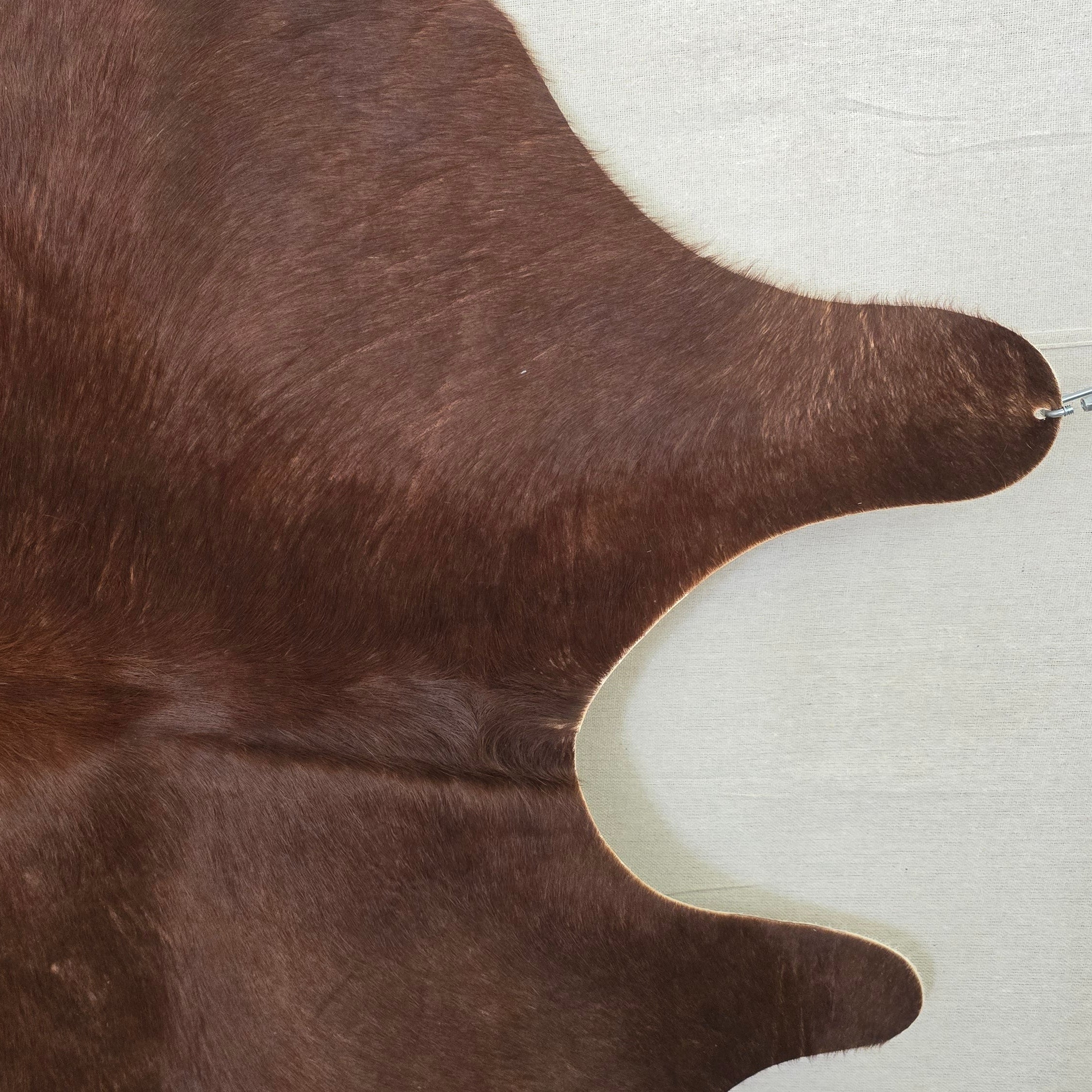 Sophisticated Rustic Brown Cowhide Handcrafted in Argentina