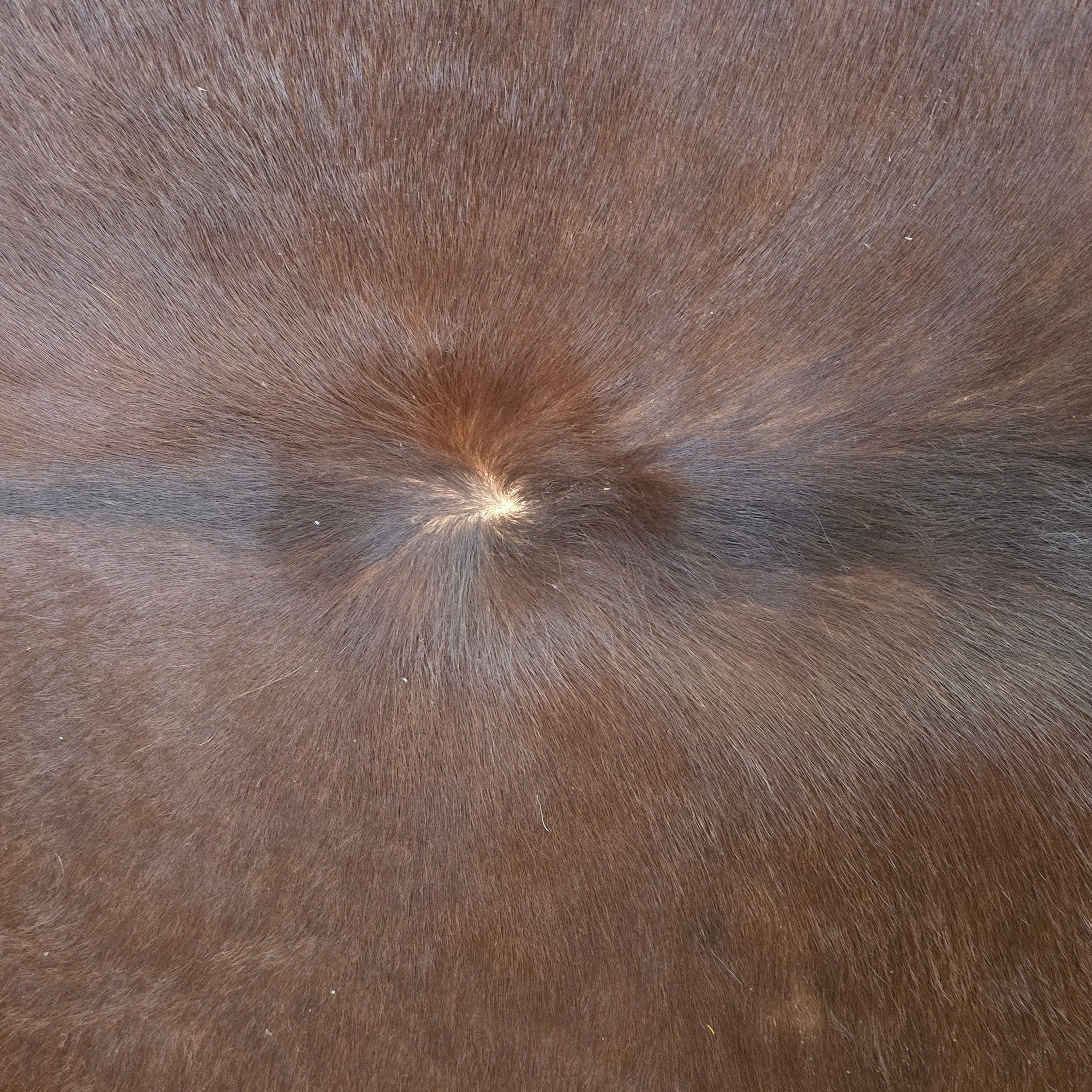 Remarkable Brown Cowhide Handmade By Artisan in Brazil