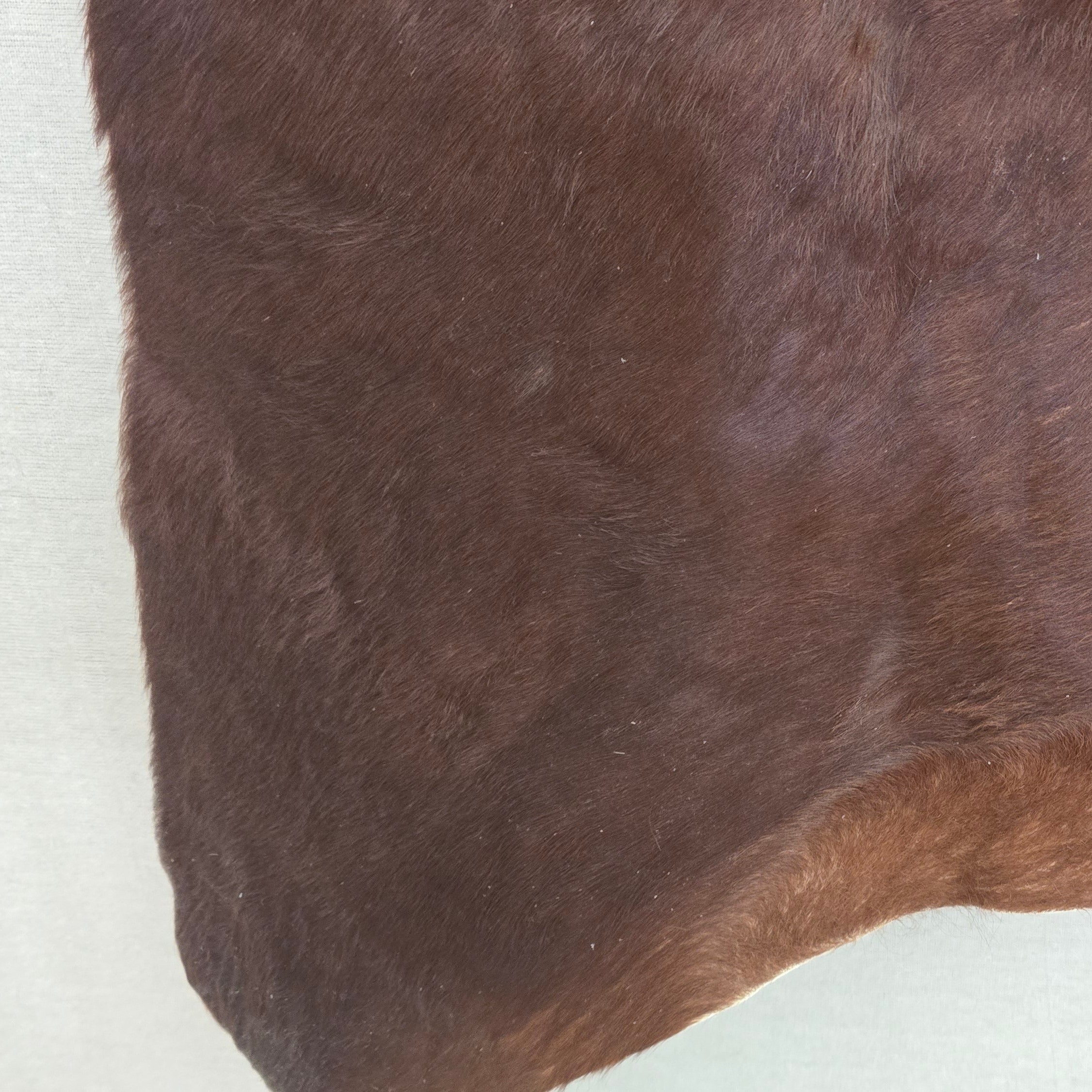 Remarkable Brown Cowhide Handmade By Artisan in Brazil