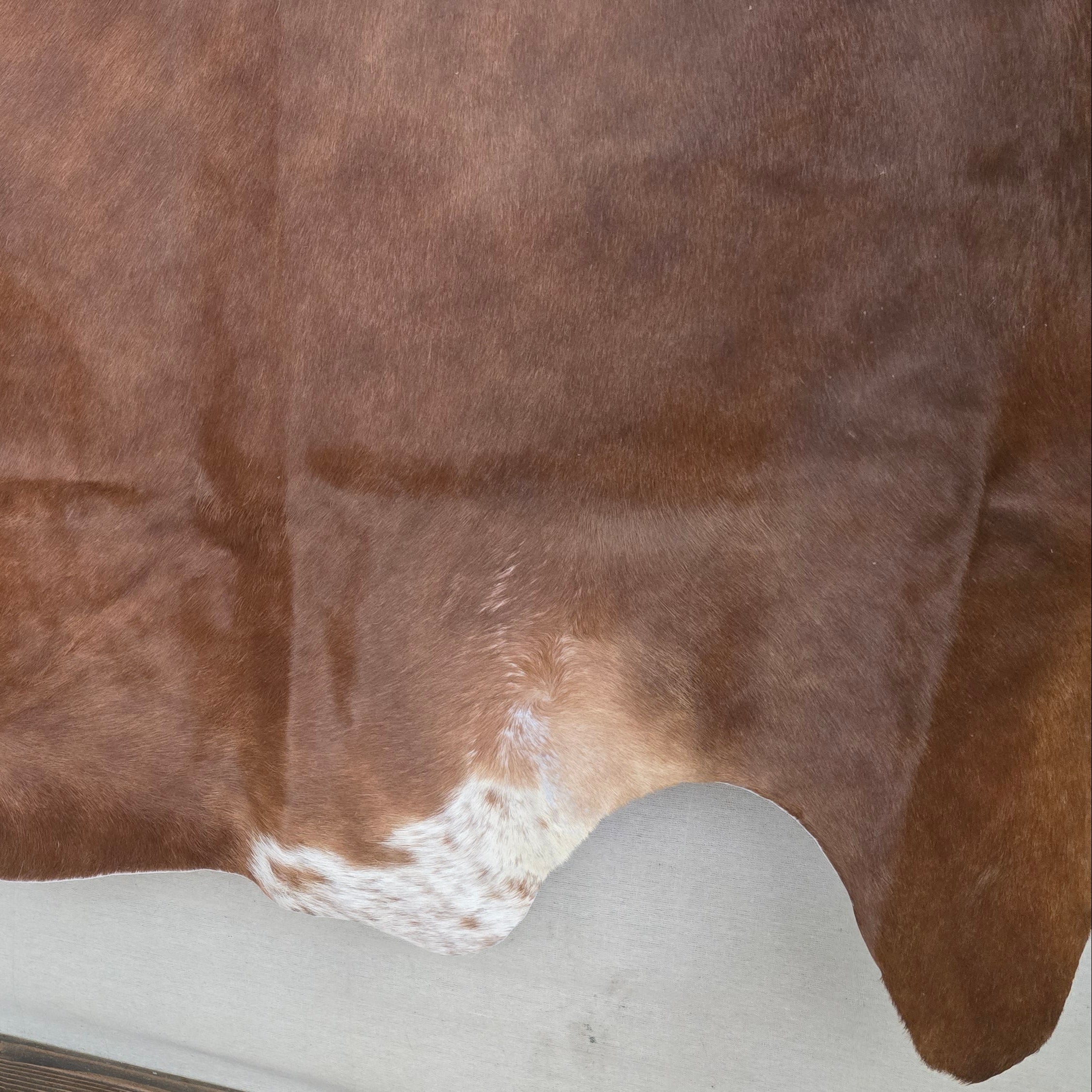 Fabulous Cinnamon Cowhide Handmade in Brazil