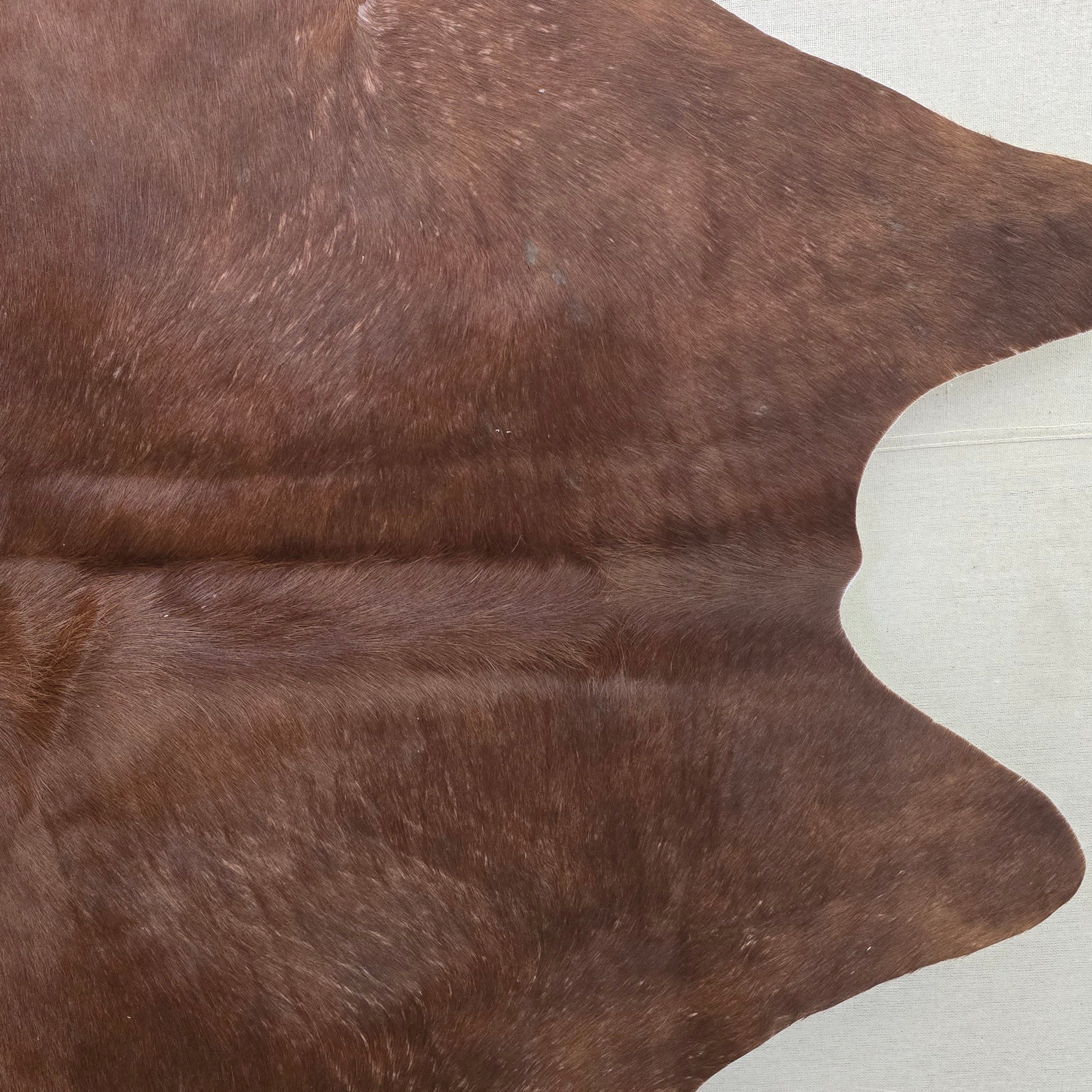 Fabulous Cinnamon Cowhide Handmade in Brazil