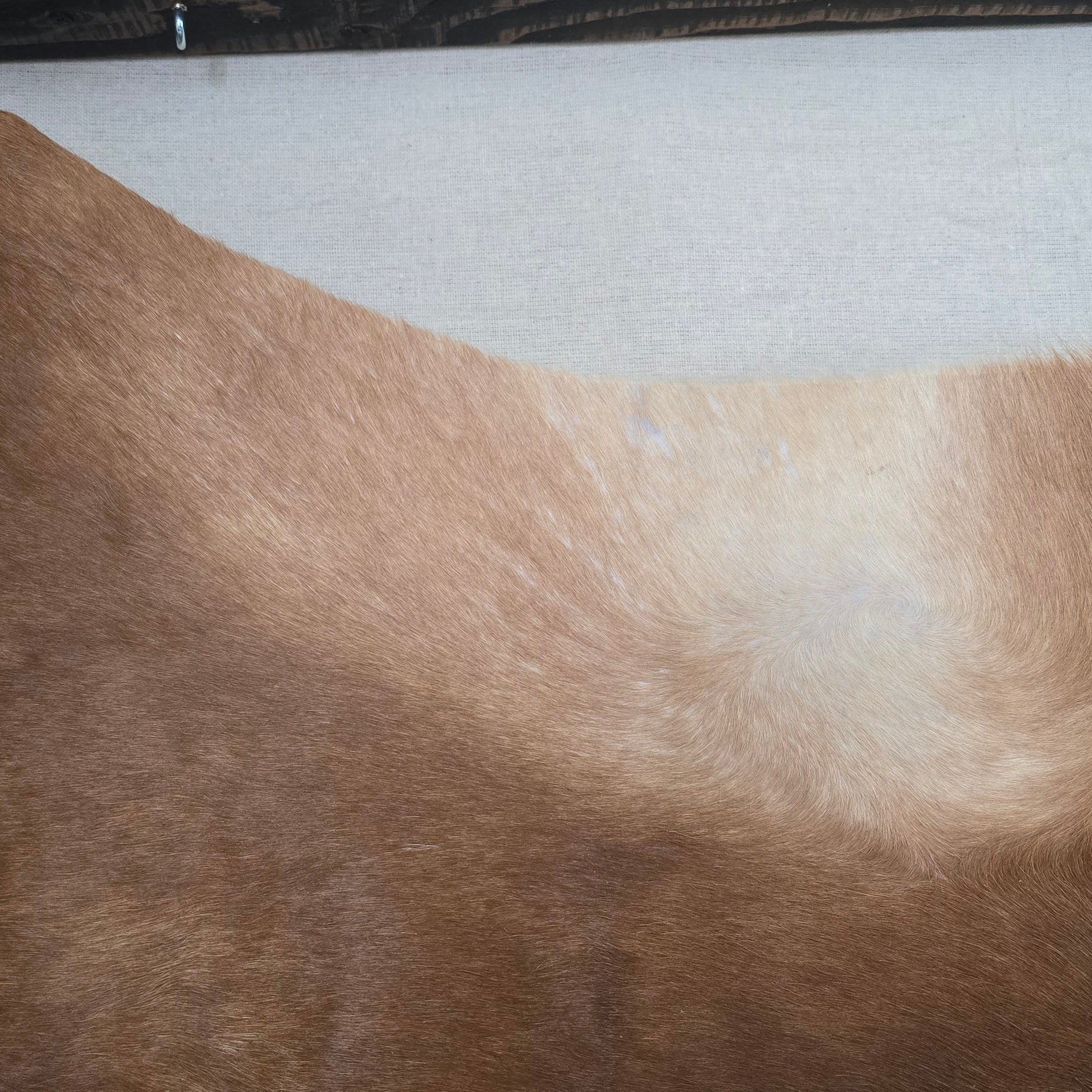 Fabulous Cinnamon Cowhide Handmade in Brazil