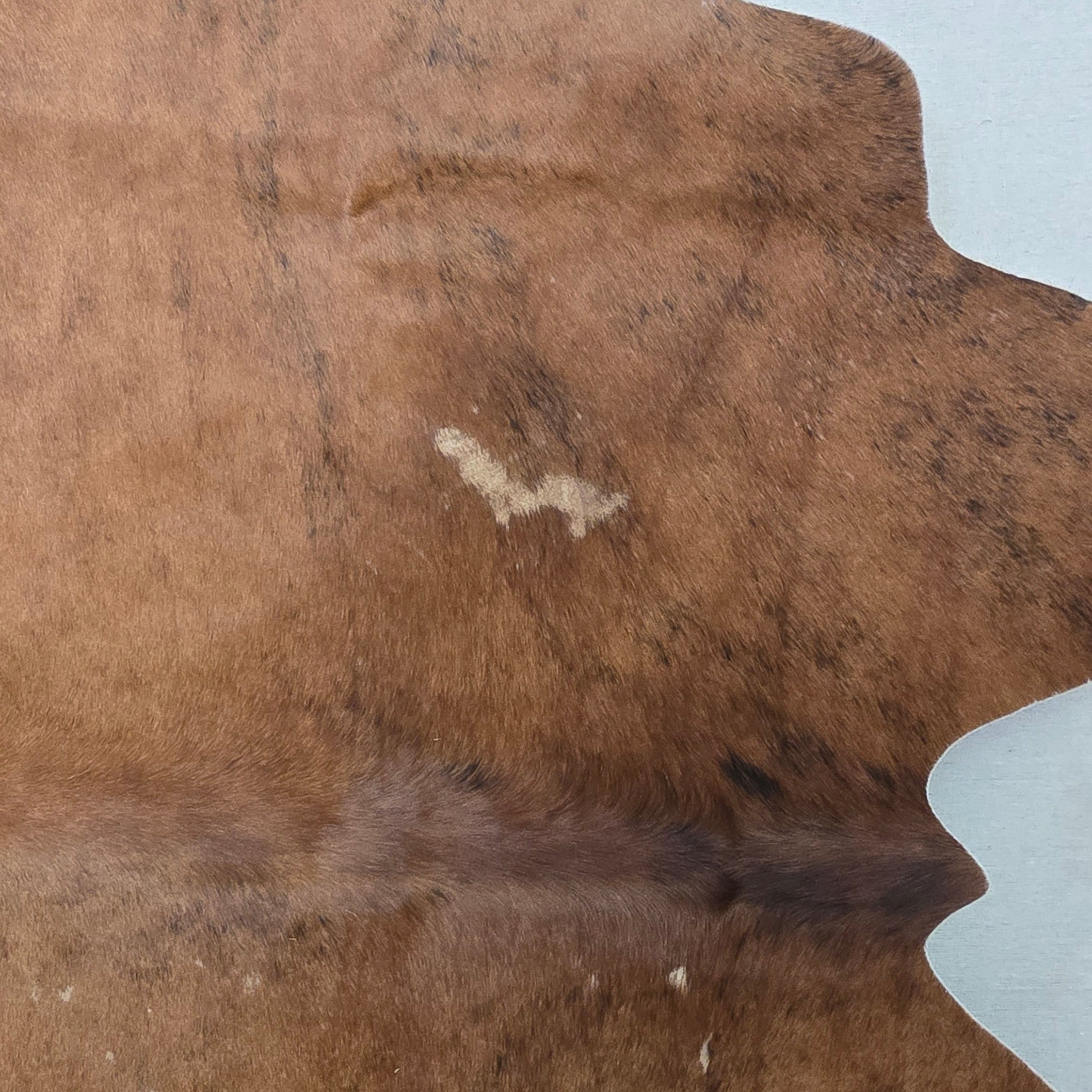 Natural Brown Cowhide Handcrafted in Brazil