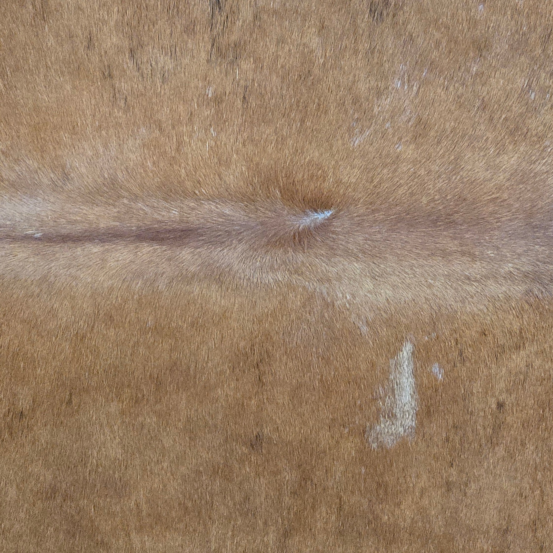 Natural Brown Cowhide Handcrafted in Brazil