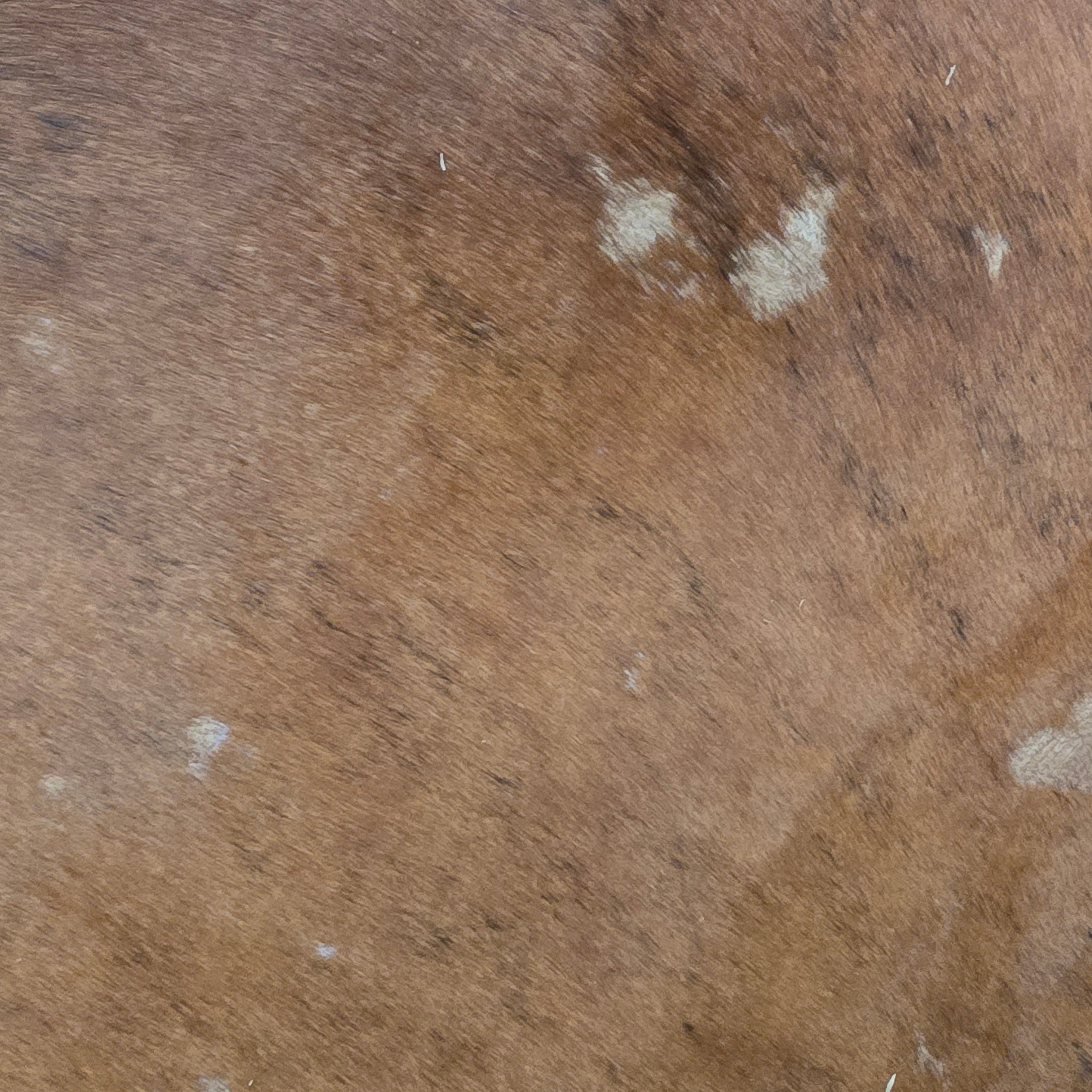 Natural Brown Cowhide Handcrafted in Brazil
