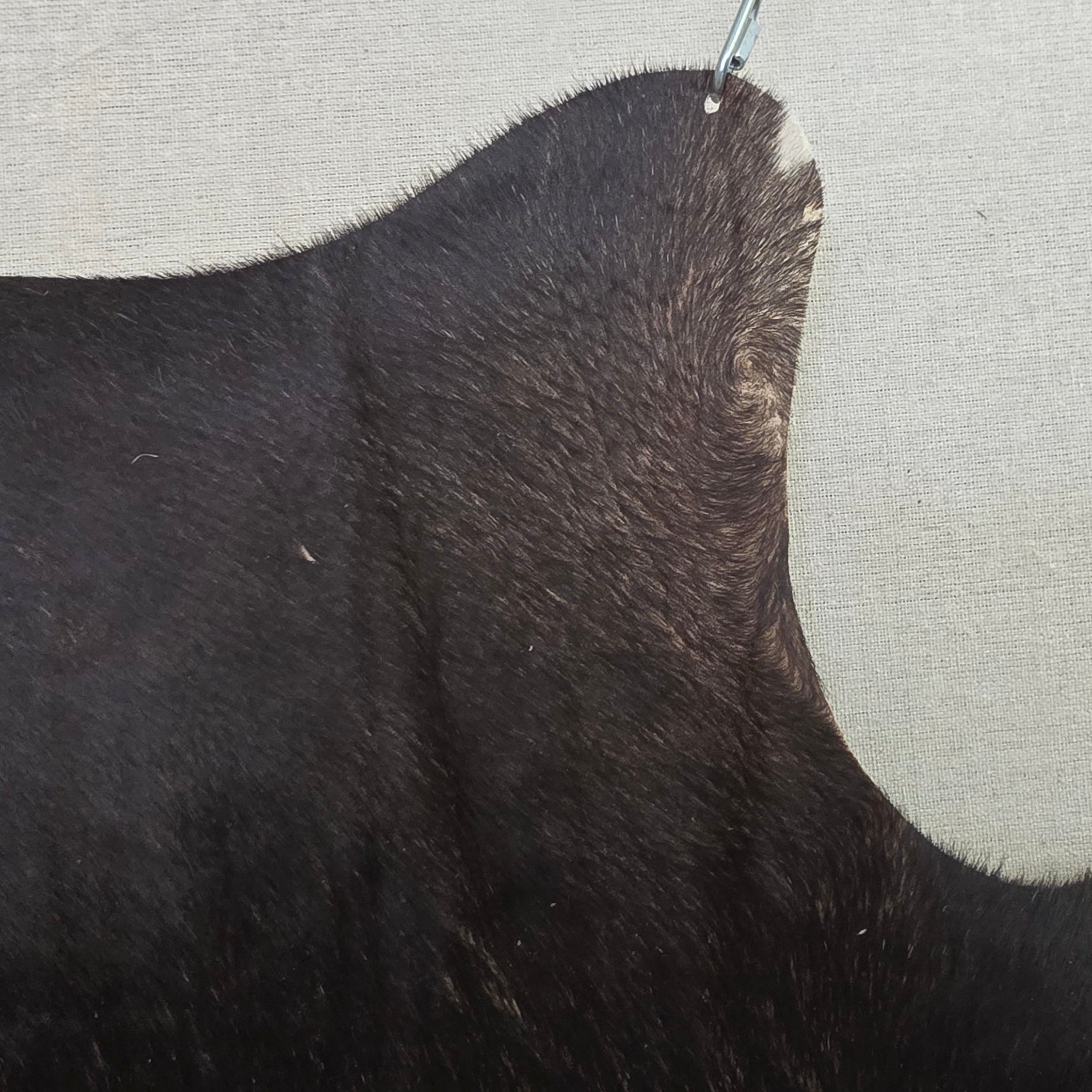Eccentric Black Cowhide Handmade in Argentina
