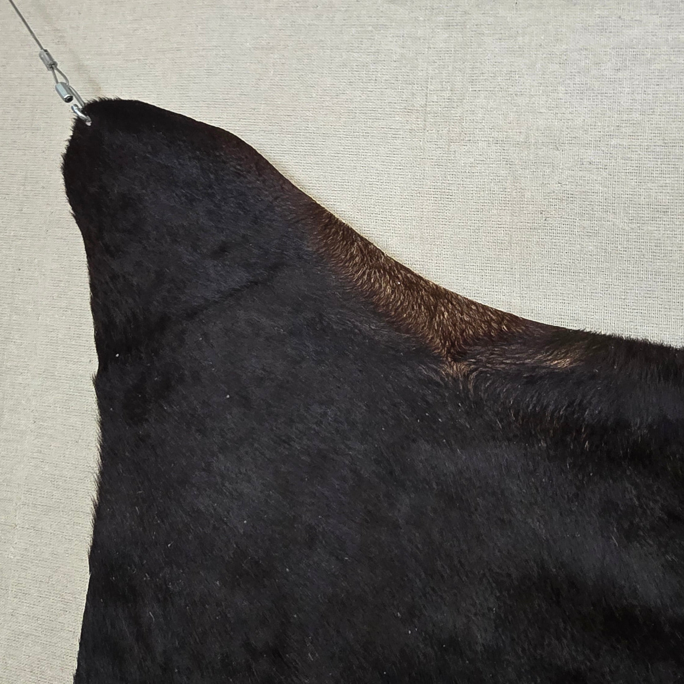 Eccentric Black Cowhide Handmade in Argentina