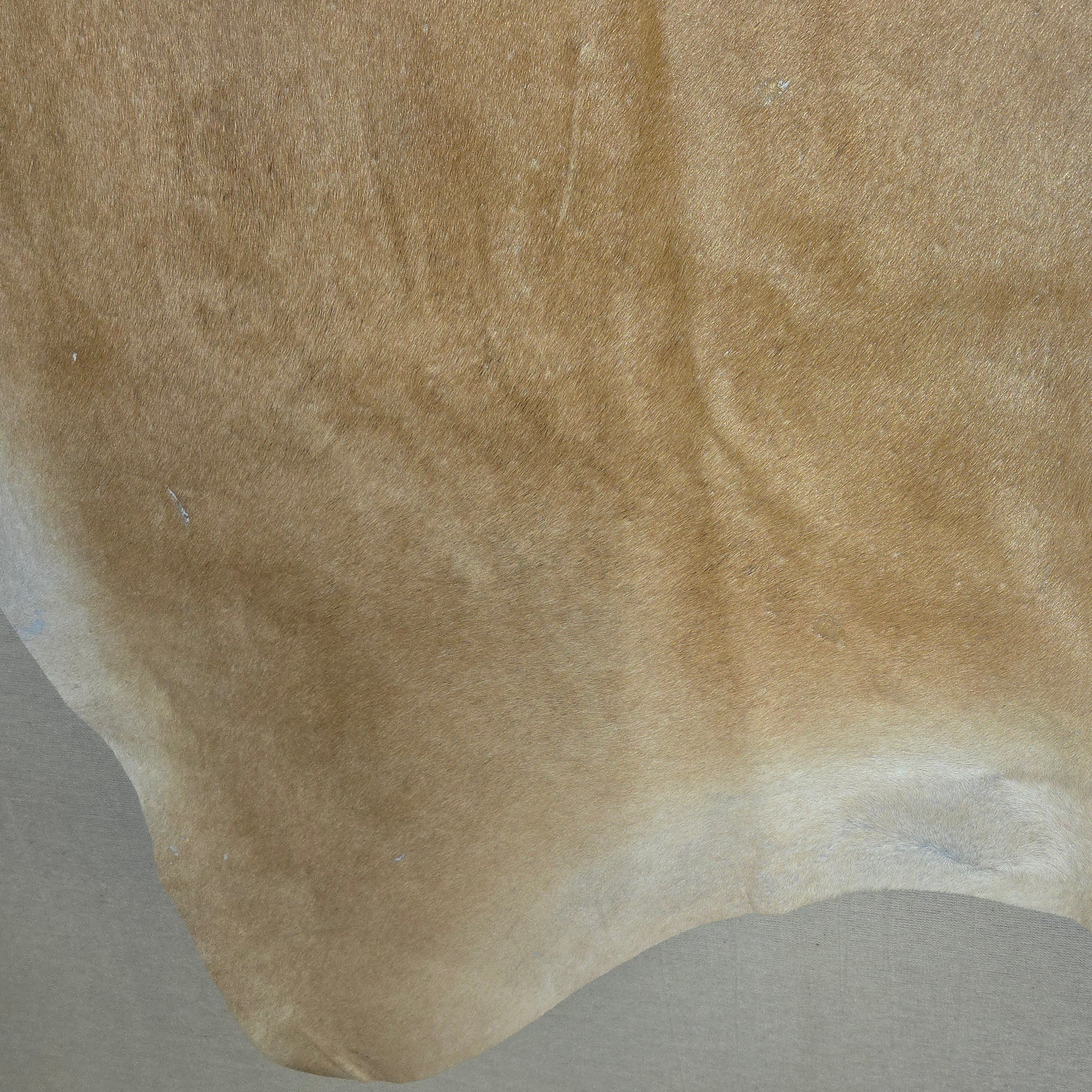 Stylish Light Brown Cowhide Handcrafted in Brazil