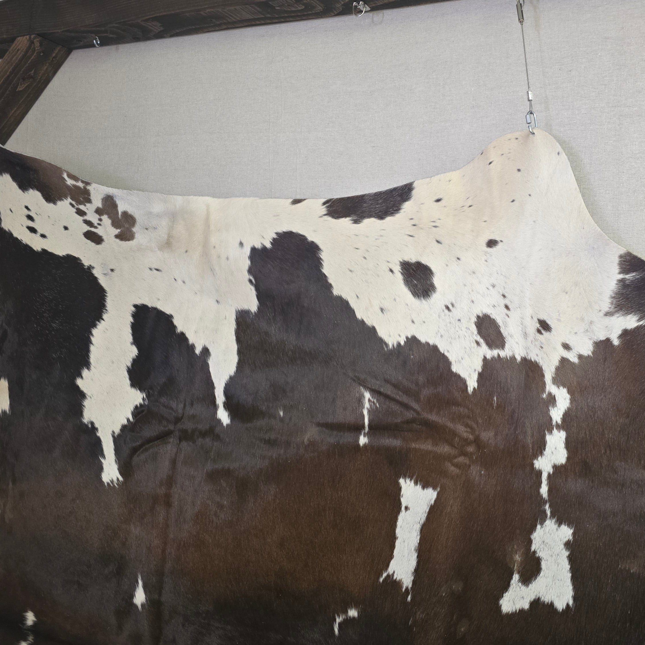 Distinctive Brown and White Cowhide Handcrafted in Brazil