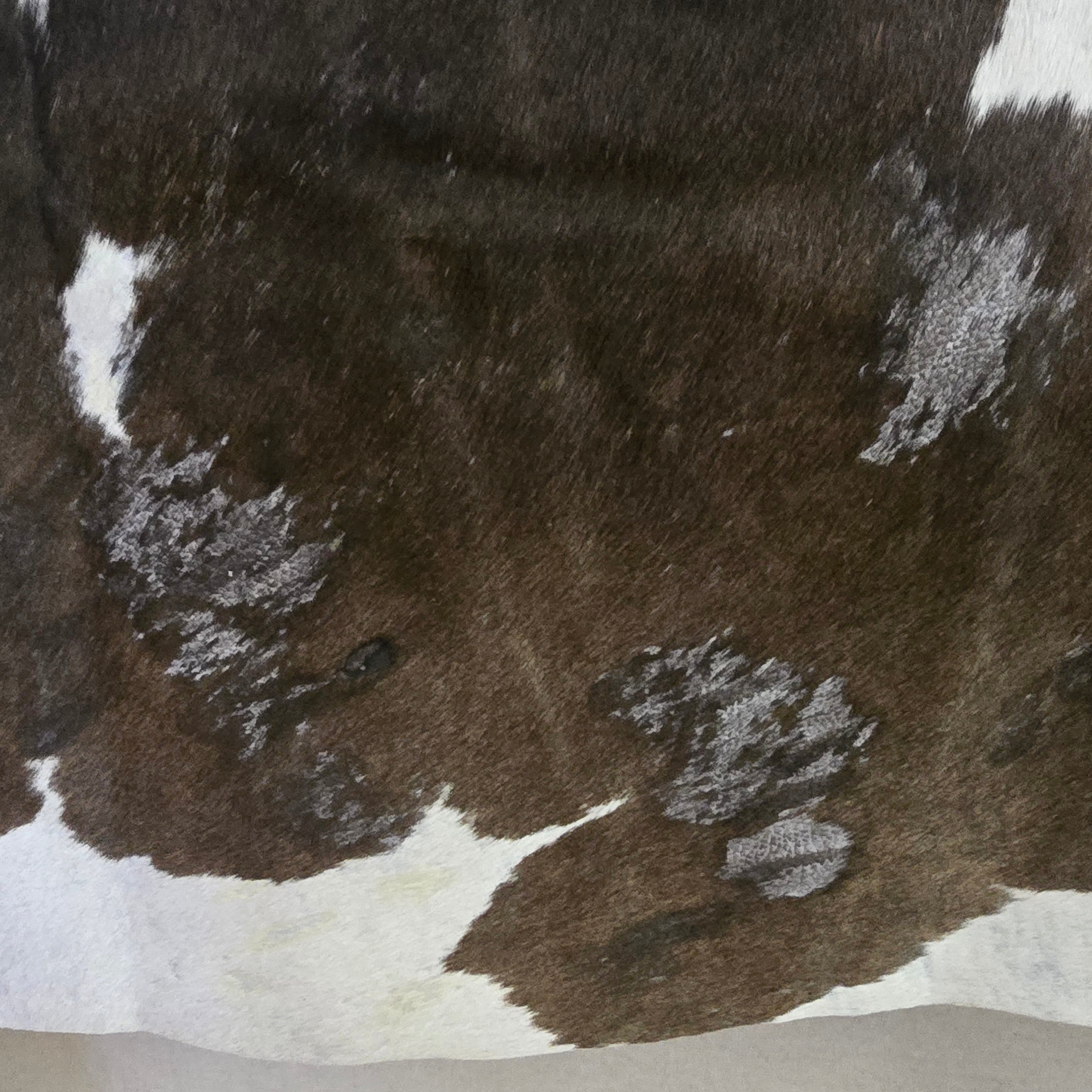 Remarkable Brown and White Cowhide Handmade in Brazil