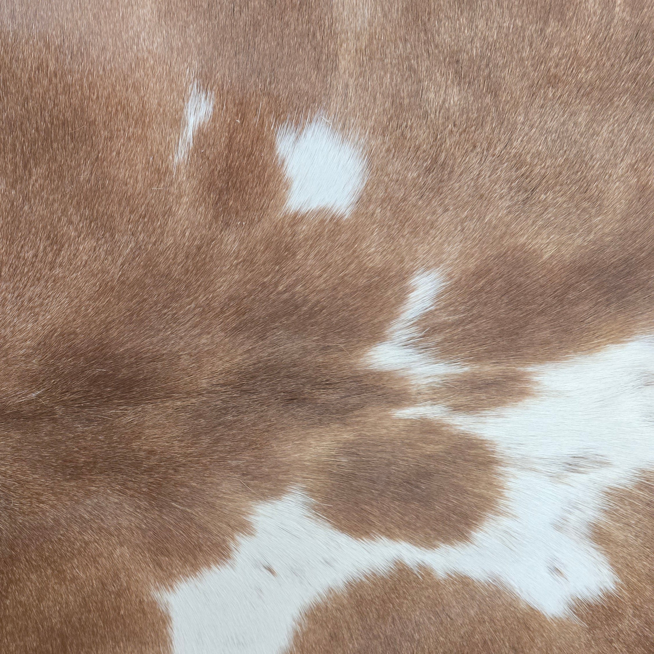 Fabulous Light Brown and White Cowhide Handmade in Brazil