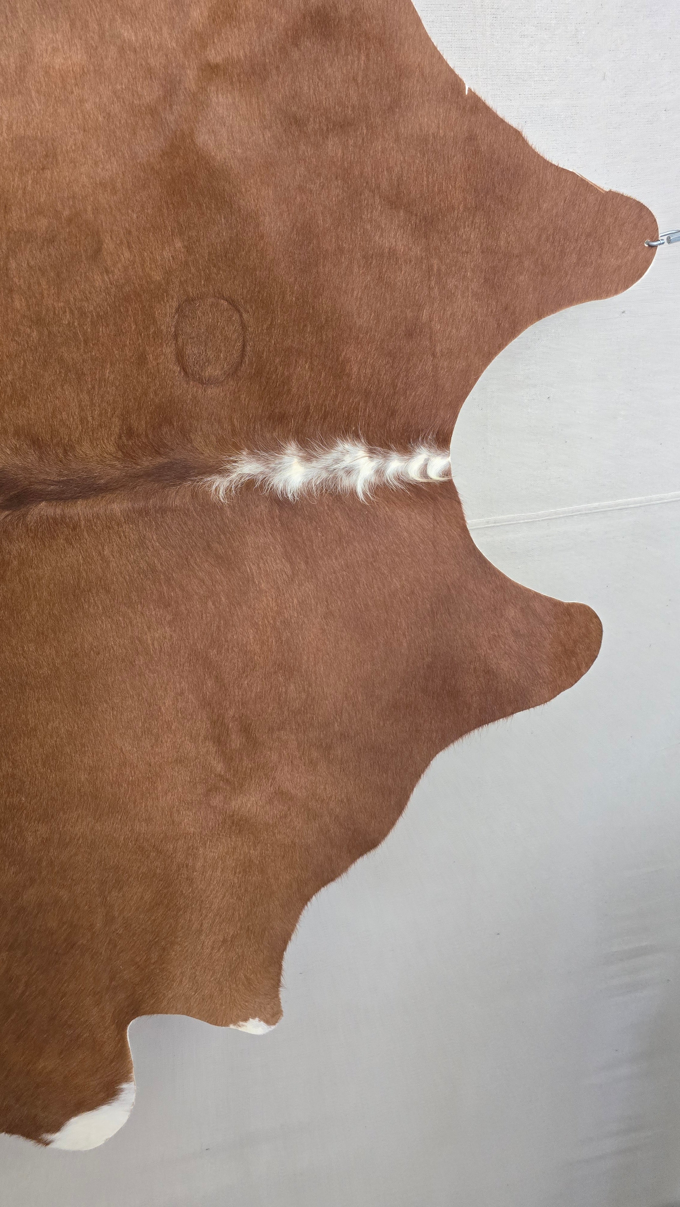 Vivid Cinnamon Cowhide Rug Made in Argentina
