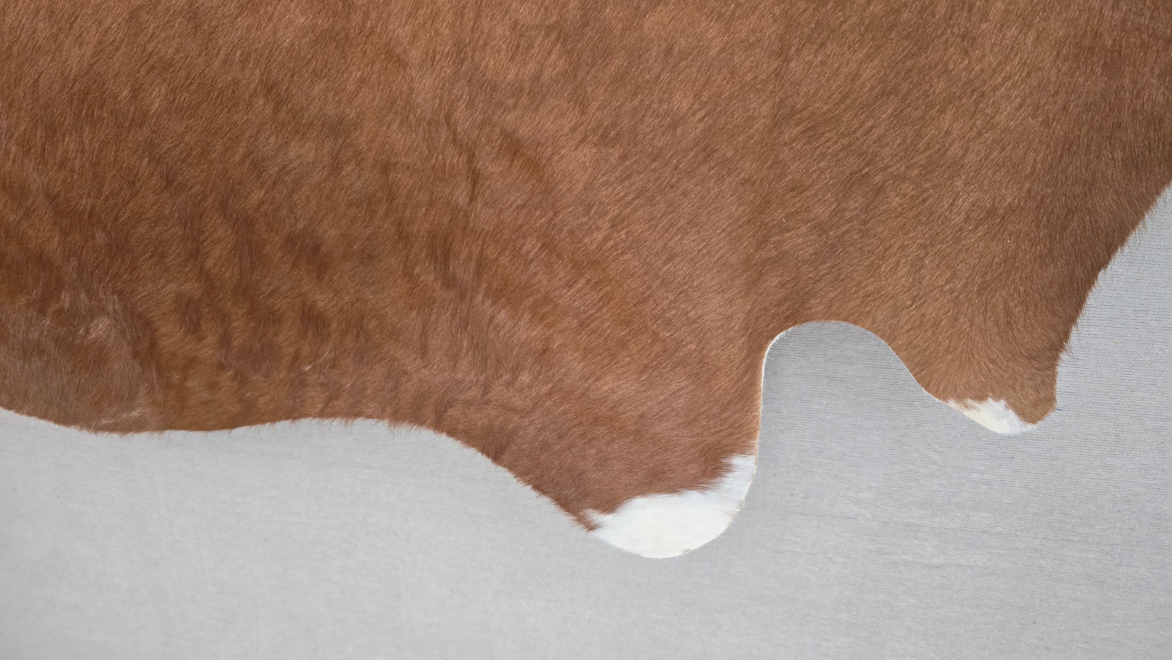 Vivid Cinnamon Cowhide Rug Made in Argentina