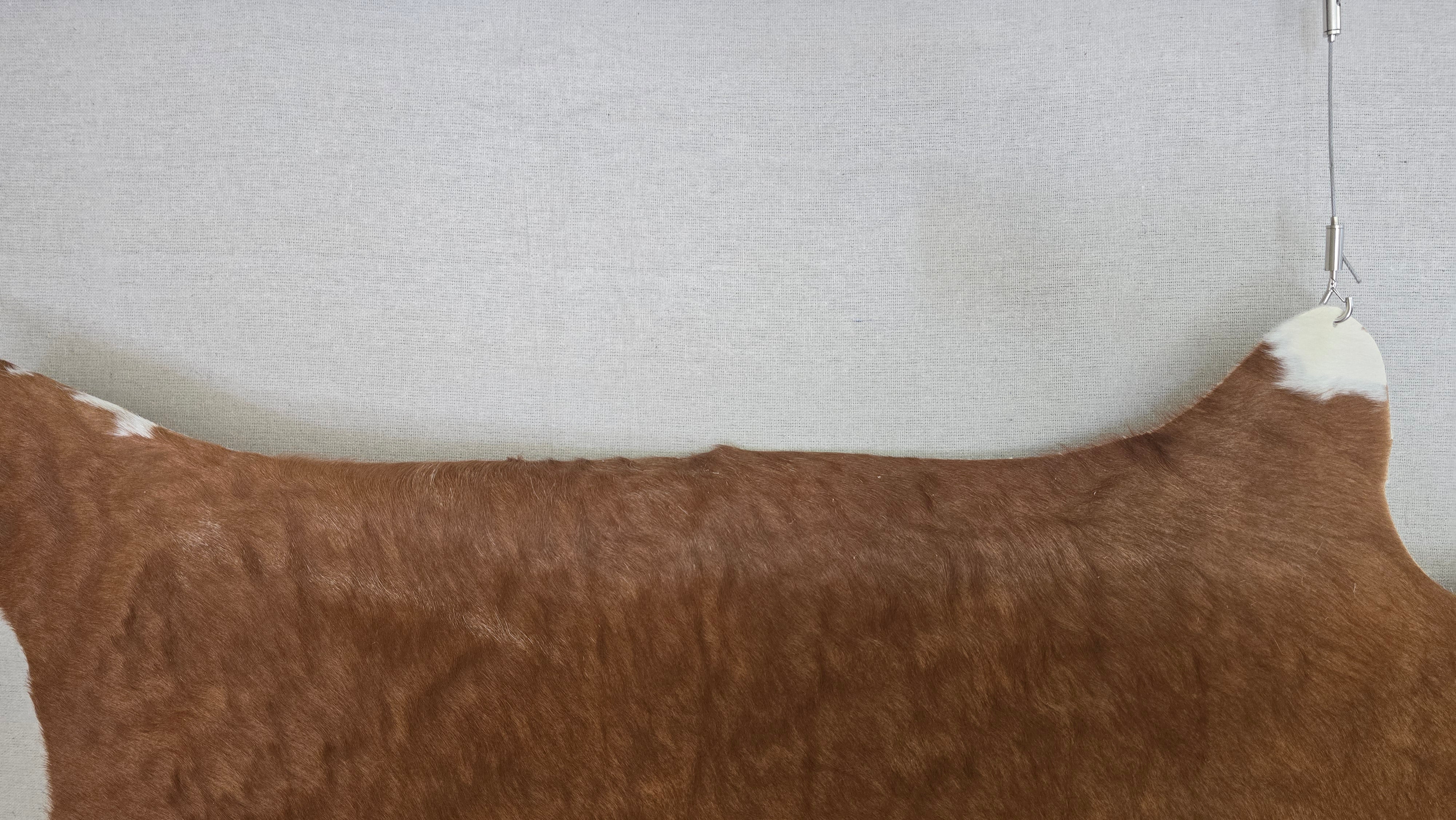 Vivid Cinnamon Cowhide Rug Made in Argentina