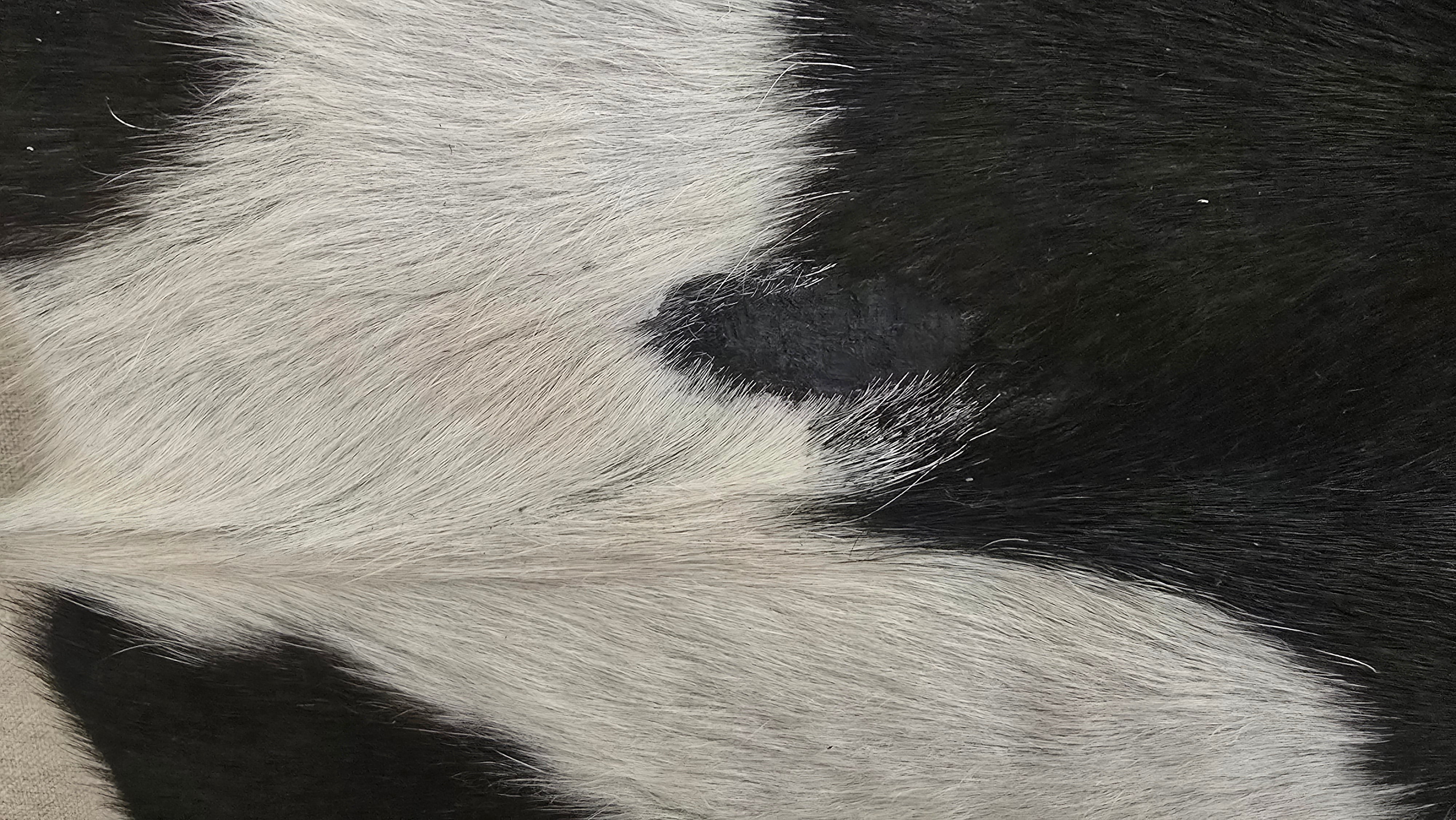 Genuine Black and White Cowhide Handmade in Brazil