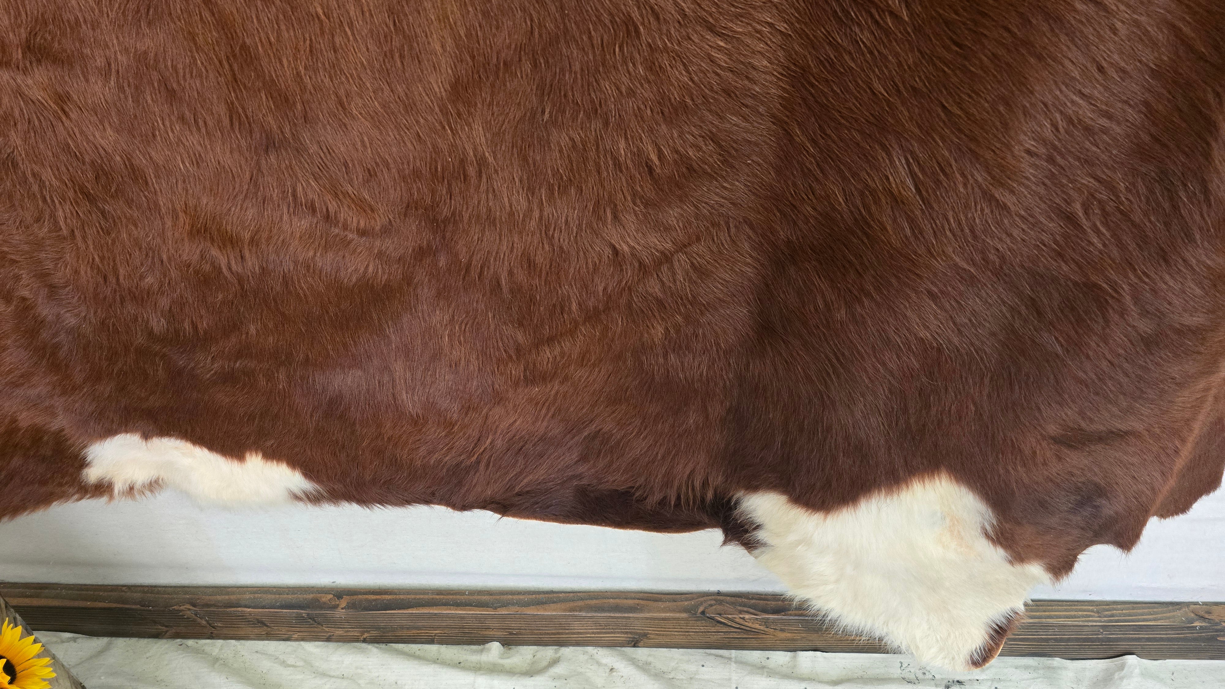 Natural Brown and White Cowhide Made in Brazil