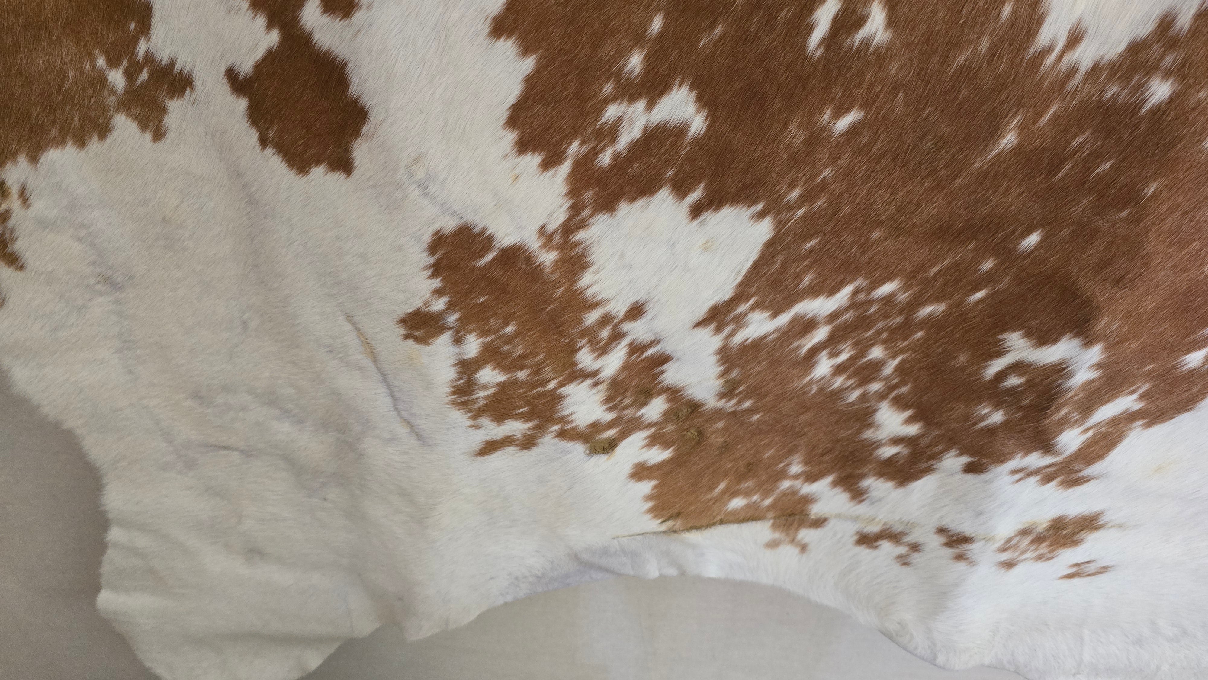 Authentic Camel and White Cowhide Rug Made in Brazil