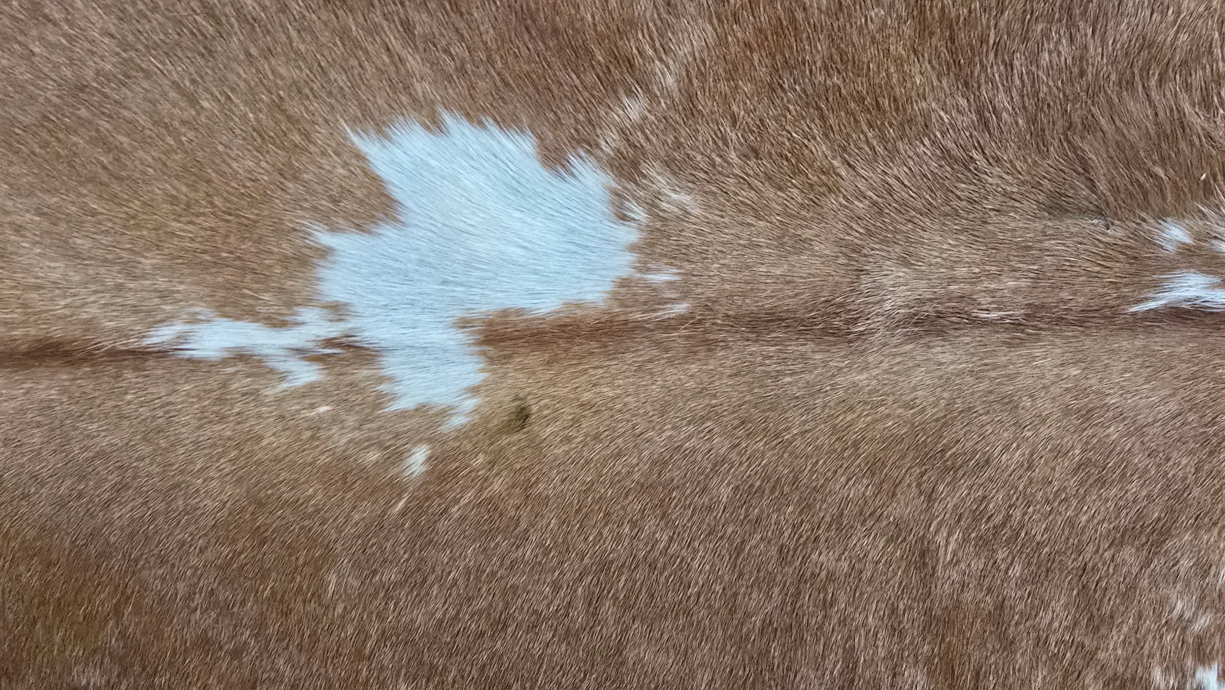 Authentic Camel and White Cowhide Rug Made in Brazil