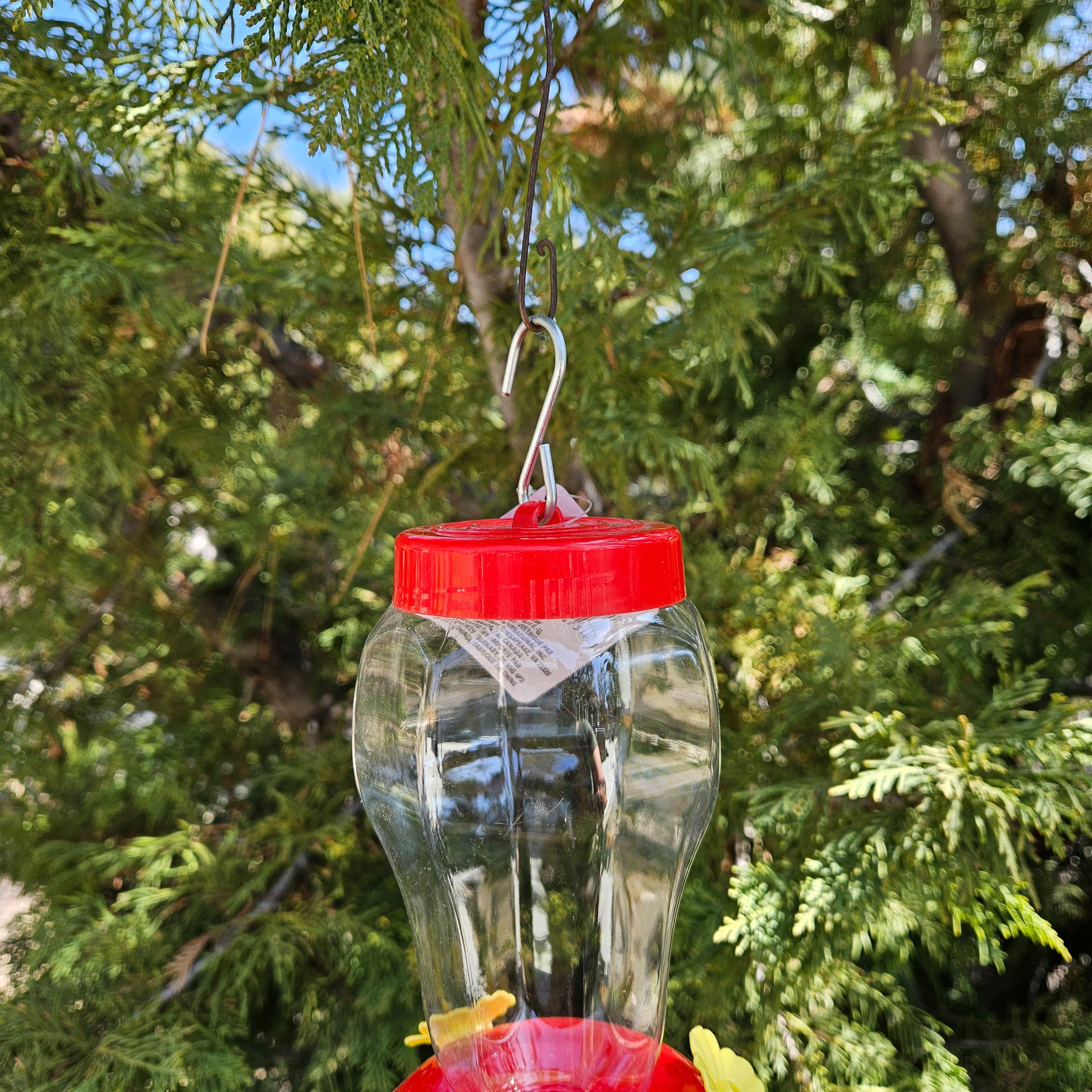 Plastic Hummingbird Feeder