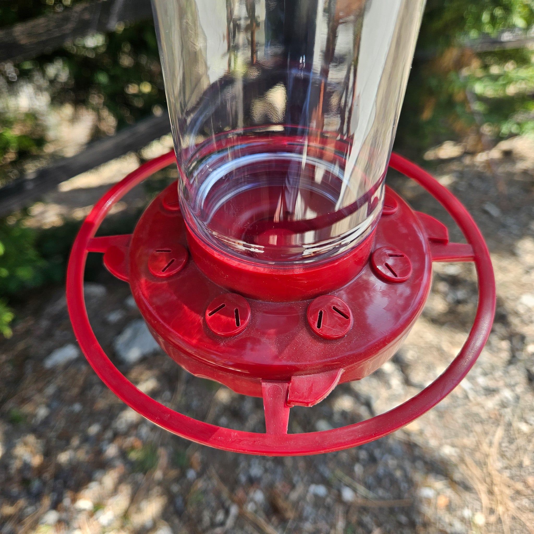 Hummingbird Feeded 6" Tall
