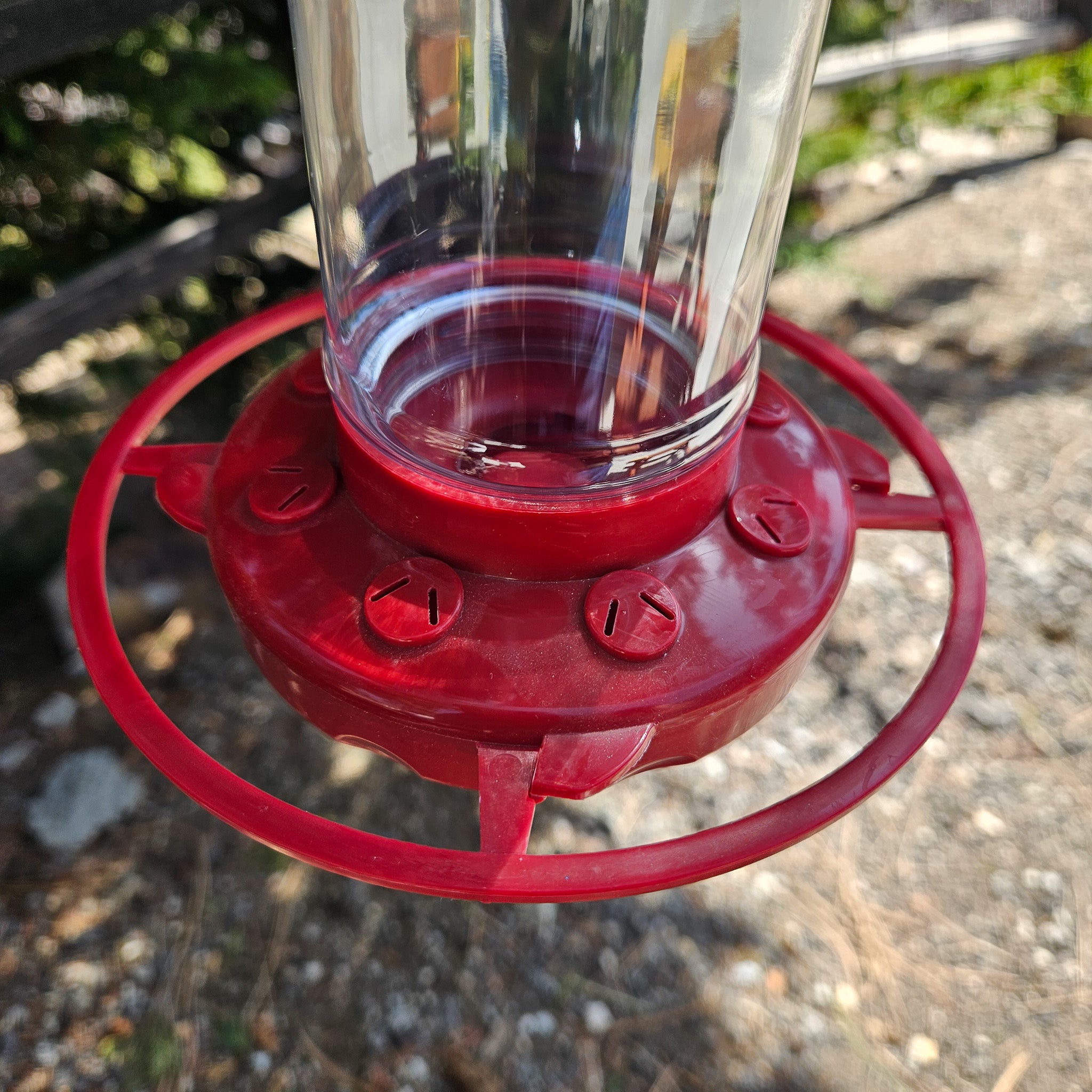 Hummingbird Feeded 6" Tall