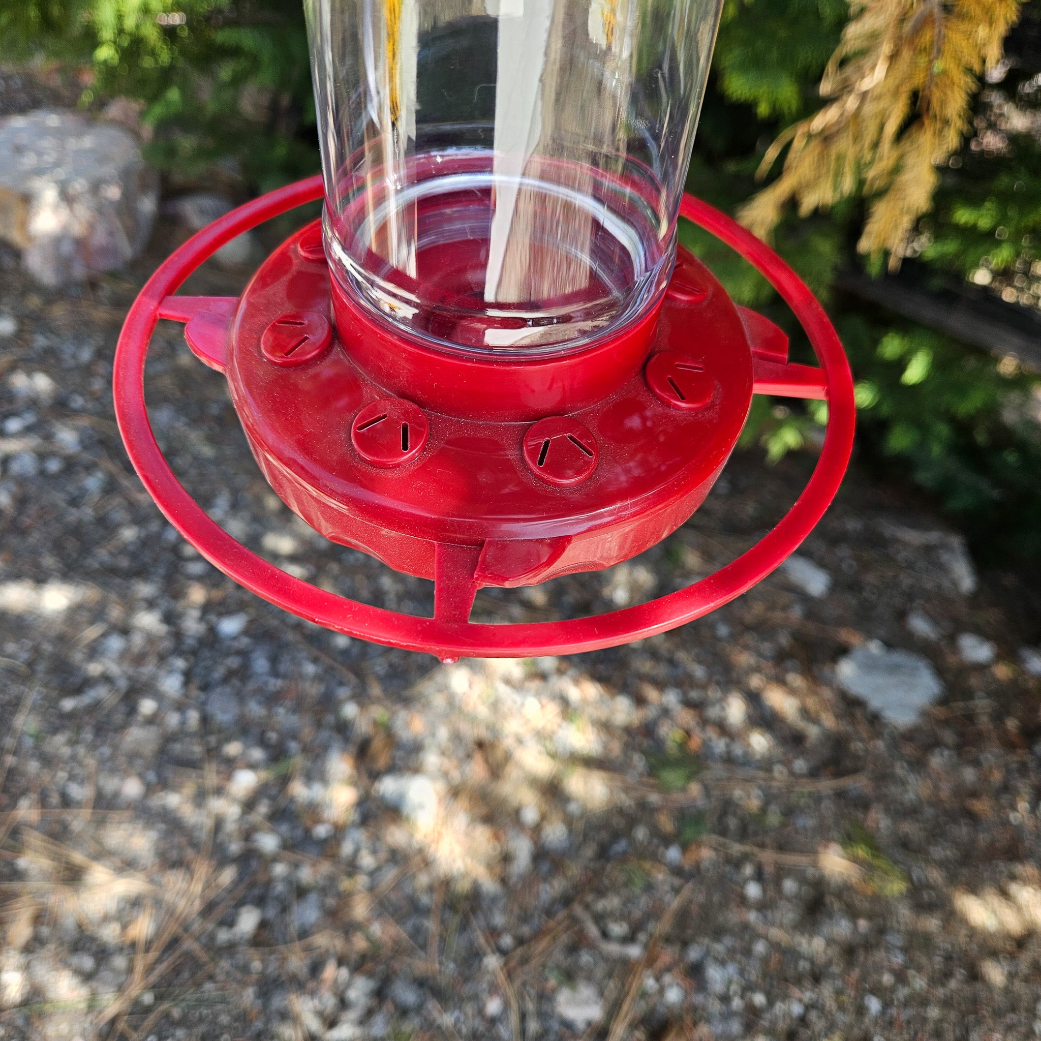 Hummingbird Feeded 6" Tall