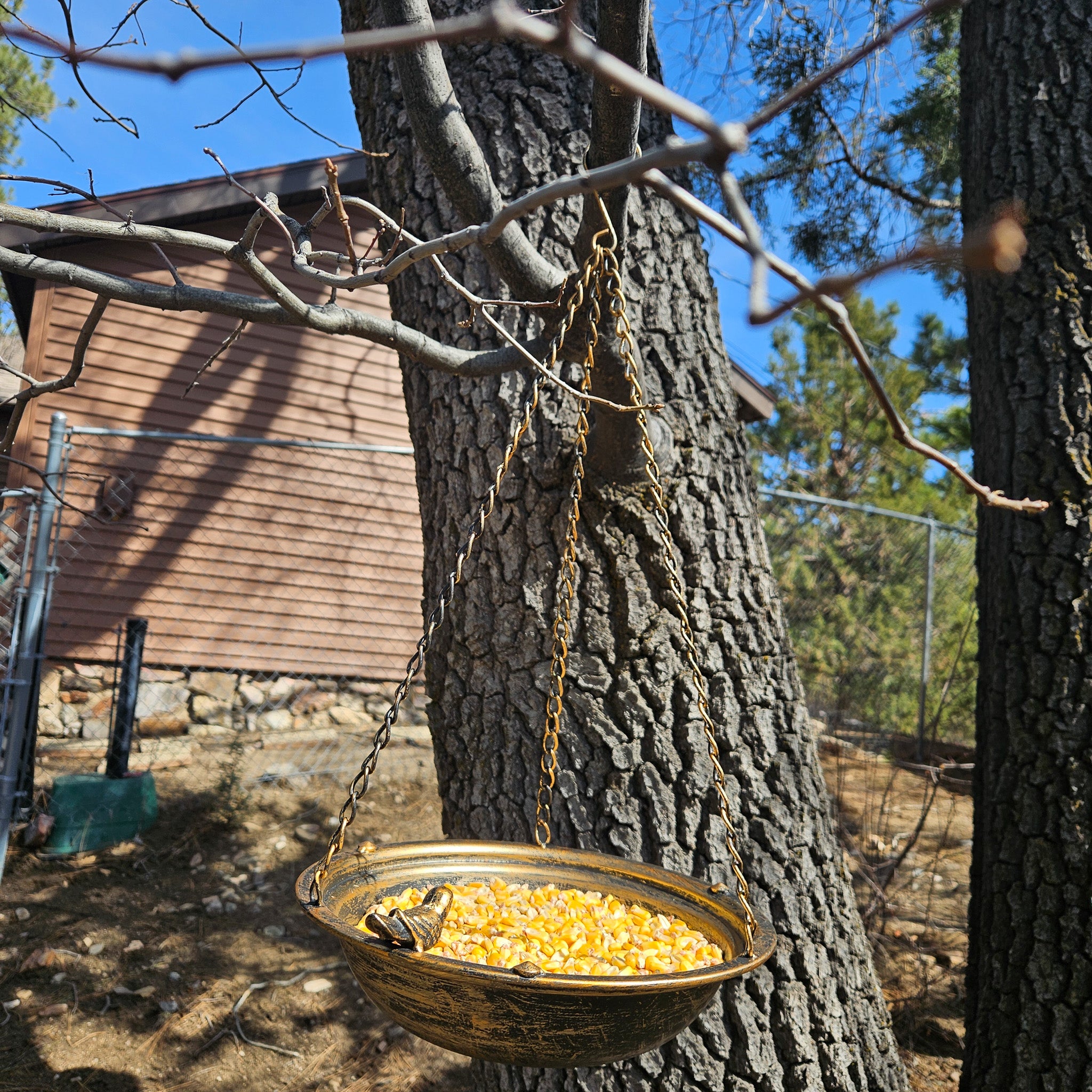 Metal Bronze Colored Circular Bird Feeder